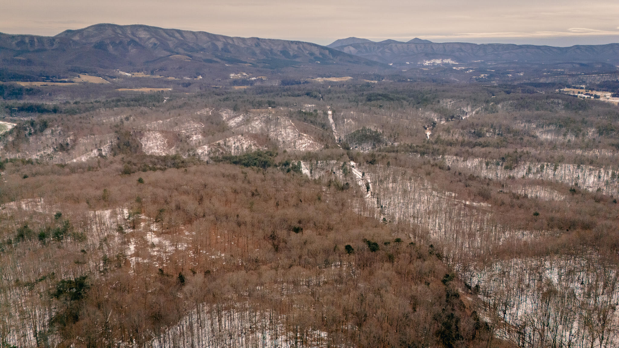 Trebark Rd, Buchanan, Virginia image 12