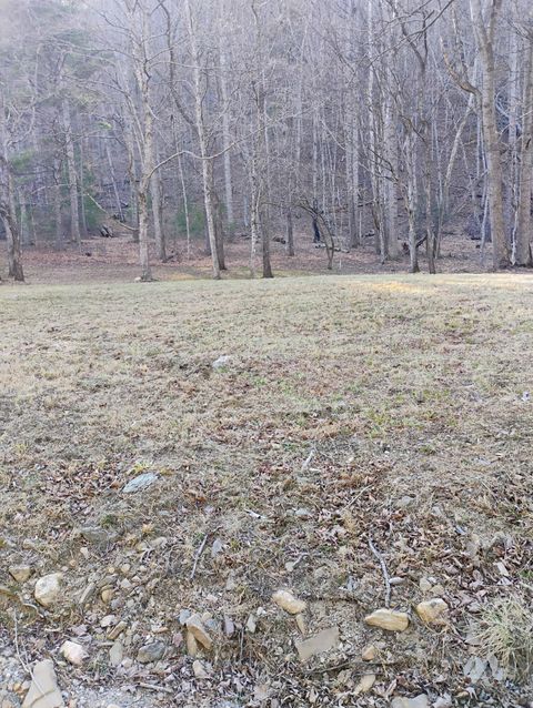Vacant Land For Sale - Miller Cove Rd<br/> Catawba, VA 24070