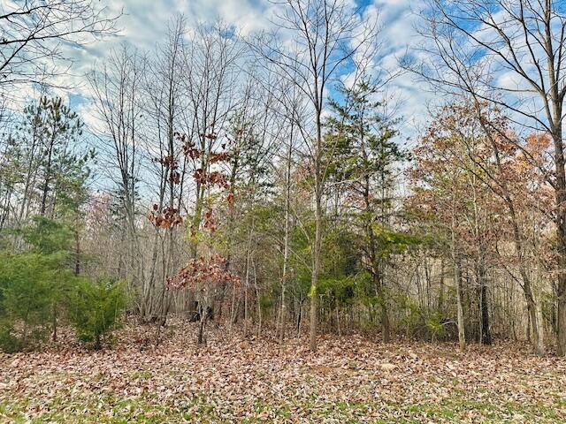 Lot 5 Waterford Dr, Moneta, Virginia image 1