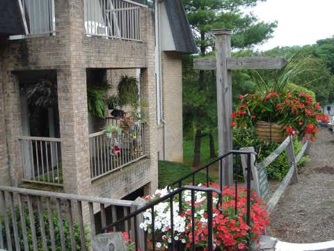 Apartment For Rent - 3386 Rasmont Rd #TBD<br/> Roanoke, VA 24018