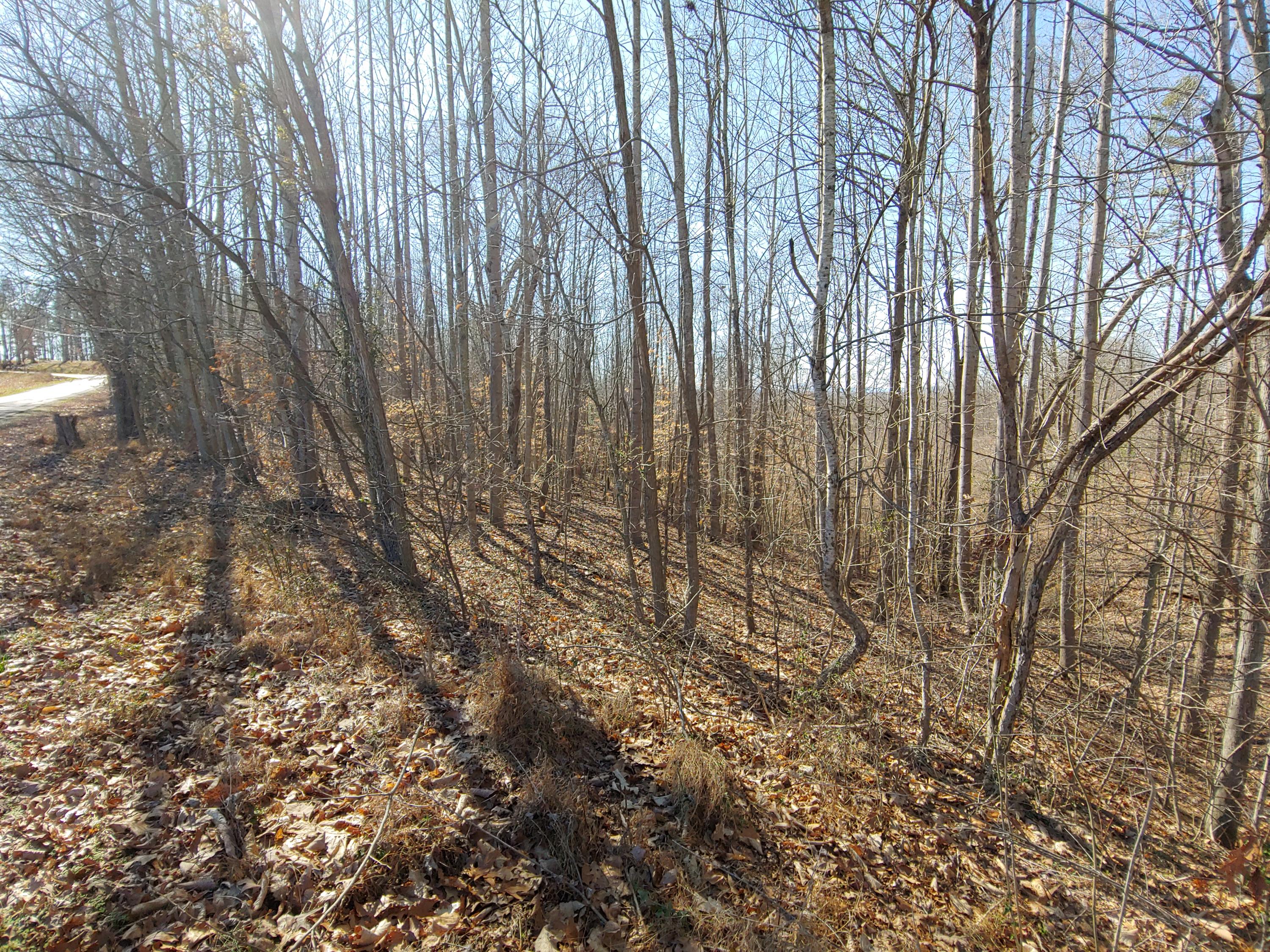 Horseshoe Bend Rd, Goodview, Virginia image 5