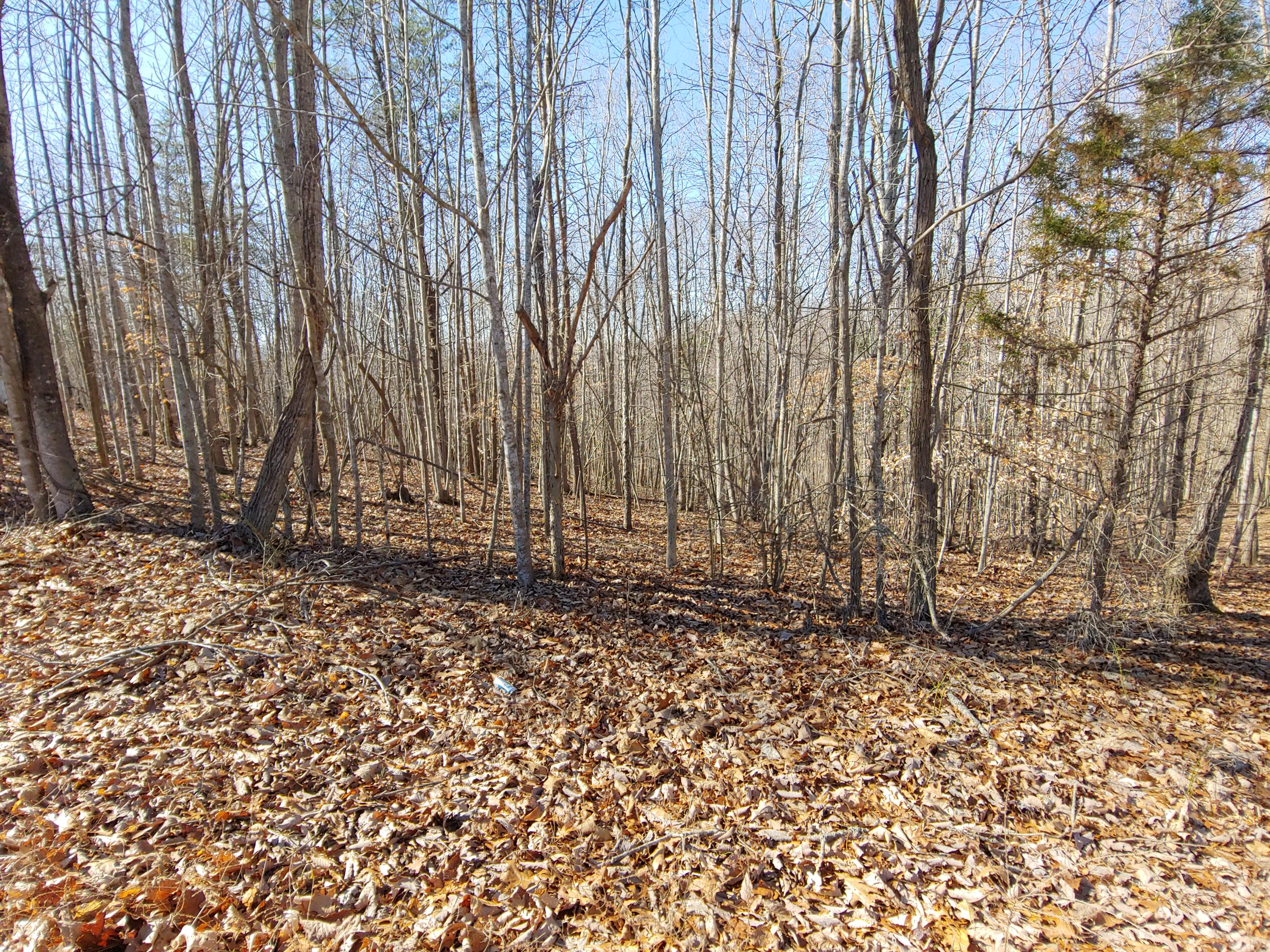Horseshoe Bend Rd, Goodview, Virginia image 2