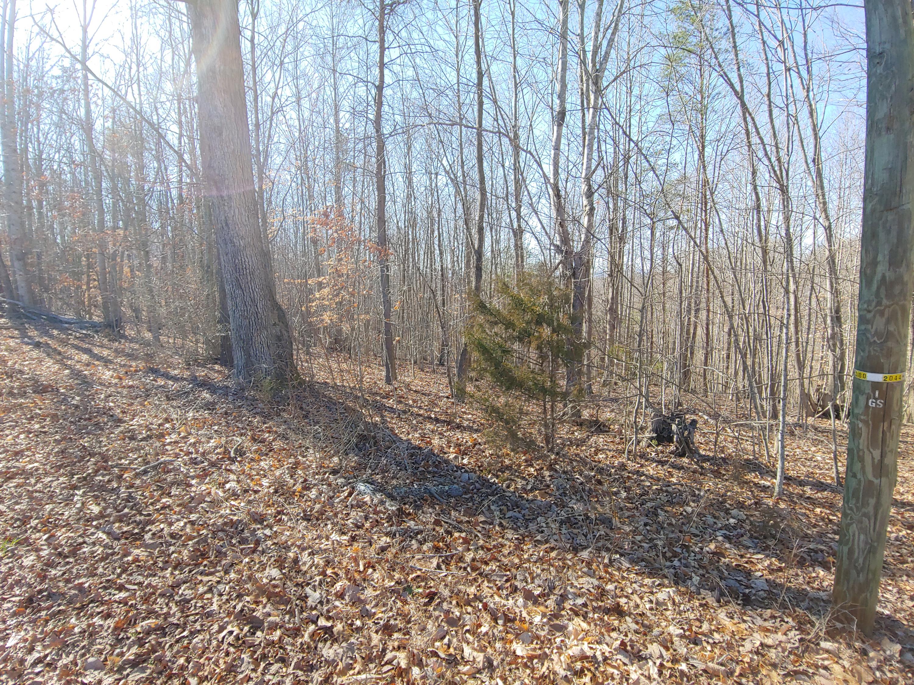 Horseshoe Bend Rd, Goodview, Virginia image 3
