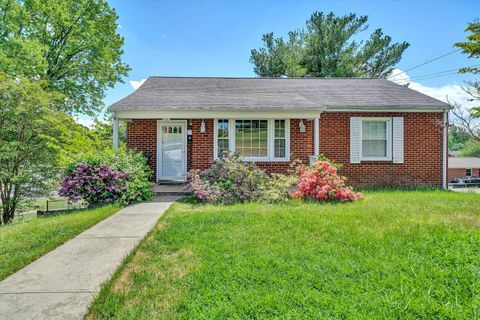 Homes For Sale - 1223 Jeanette Ave<br/> Vinton, VA 24179