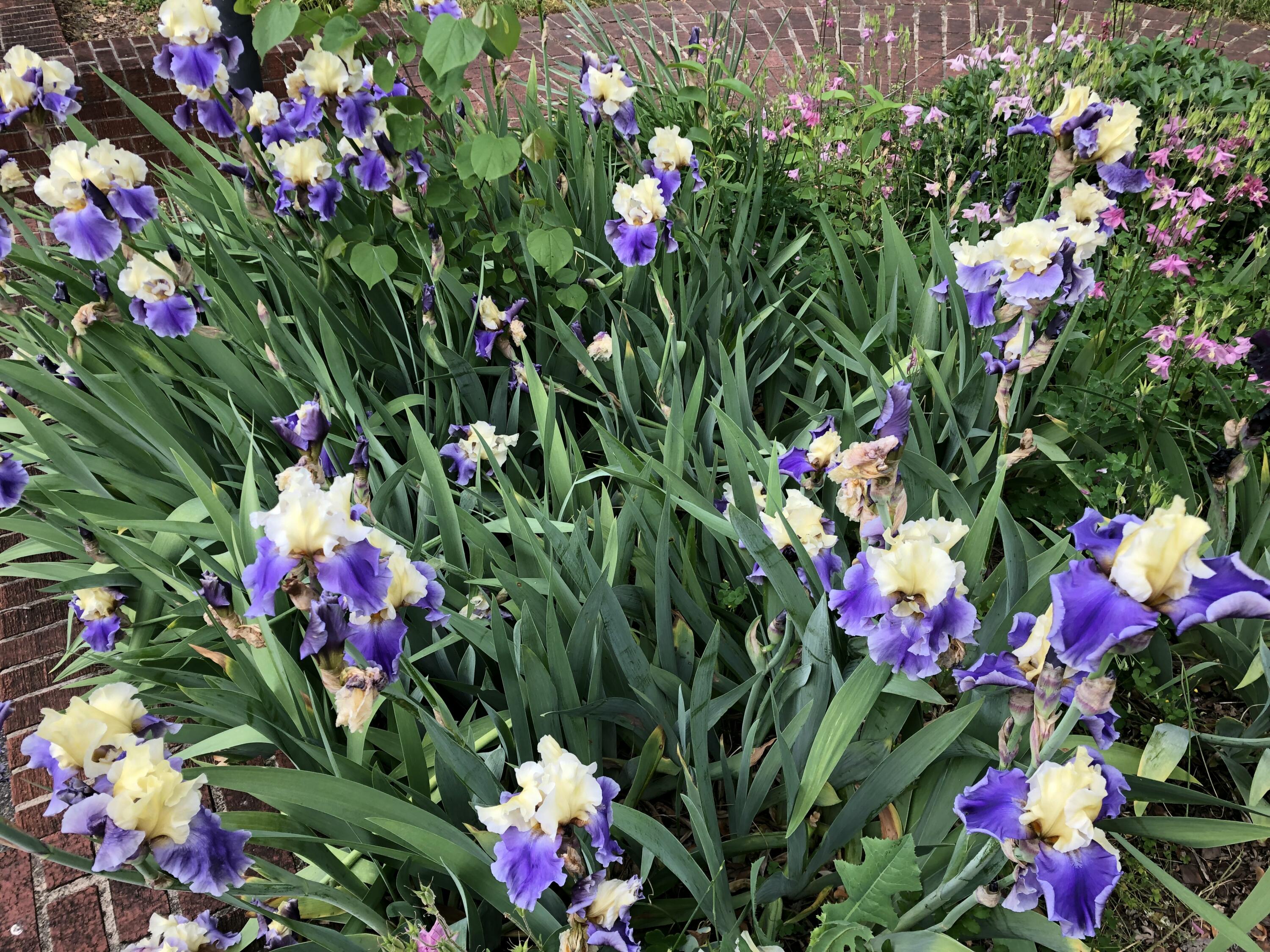 Roanoke, Virginia 24018, United States, 3 Bedrooms Bedrooms, ,2 BathroomsBathrooms,Residential,Active,84448