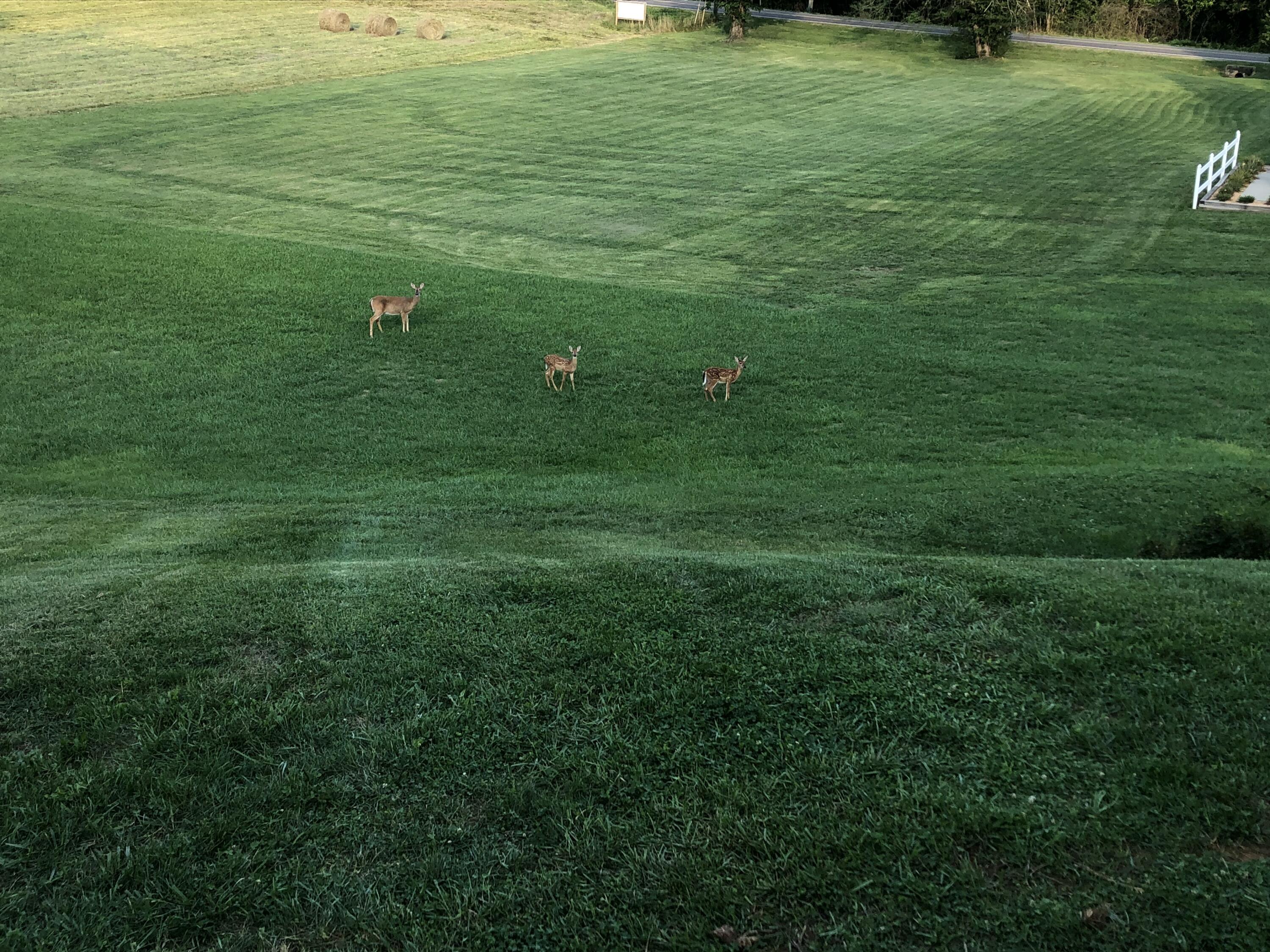 Roanoke, Virginia 24018, United States, 3 Bedrooms Bedrooms, ,2 BathroomsBathrooms,Residential,Active,84448