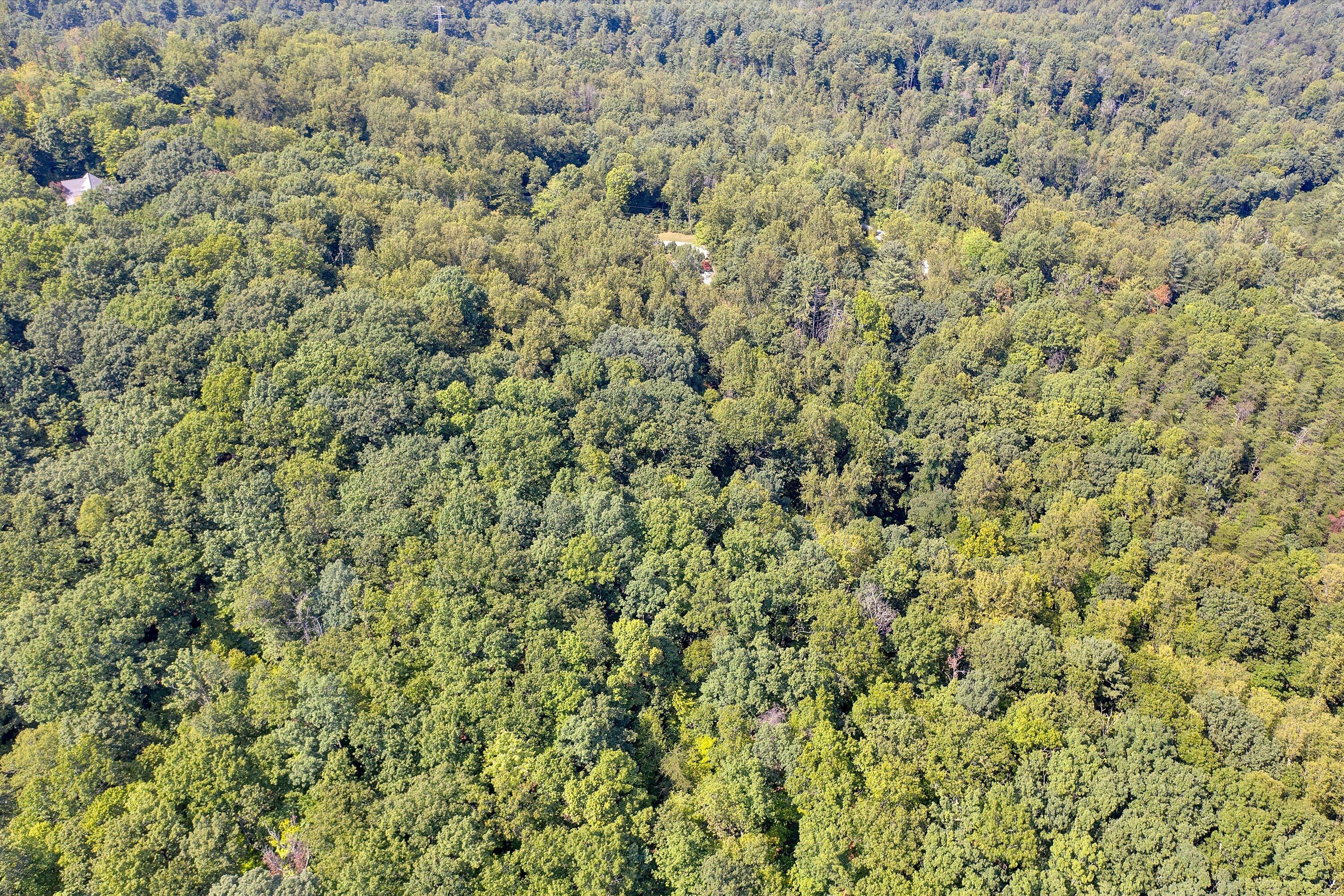 263 Whispering Pines Dr, Boones Mill, Virginia image 44