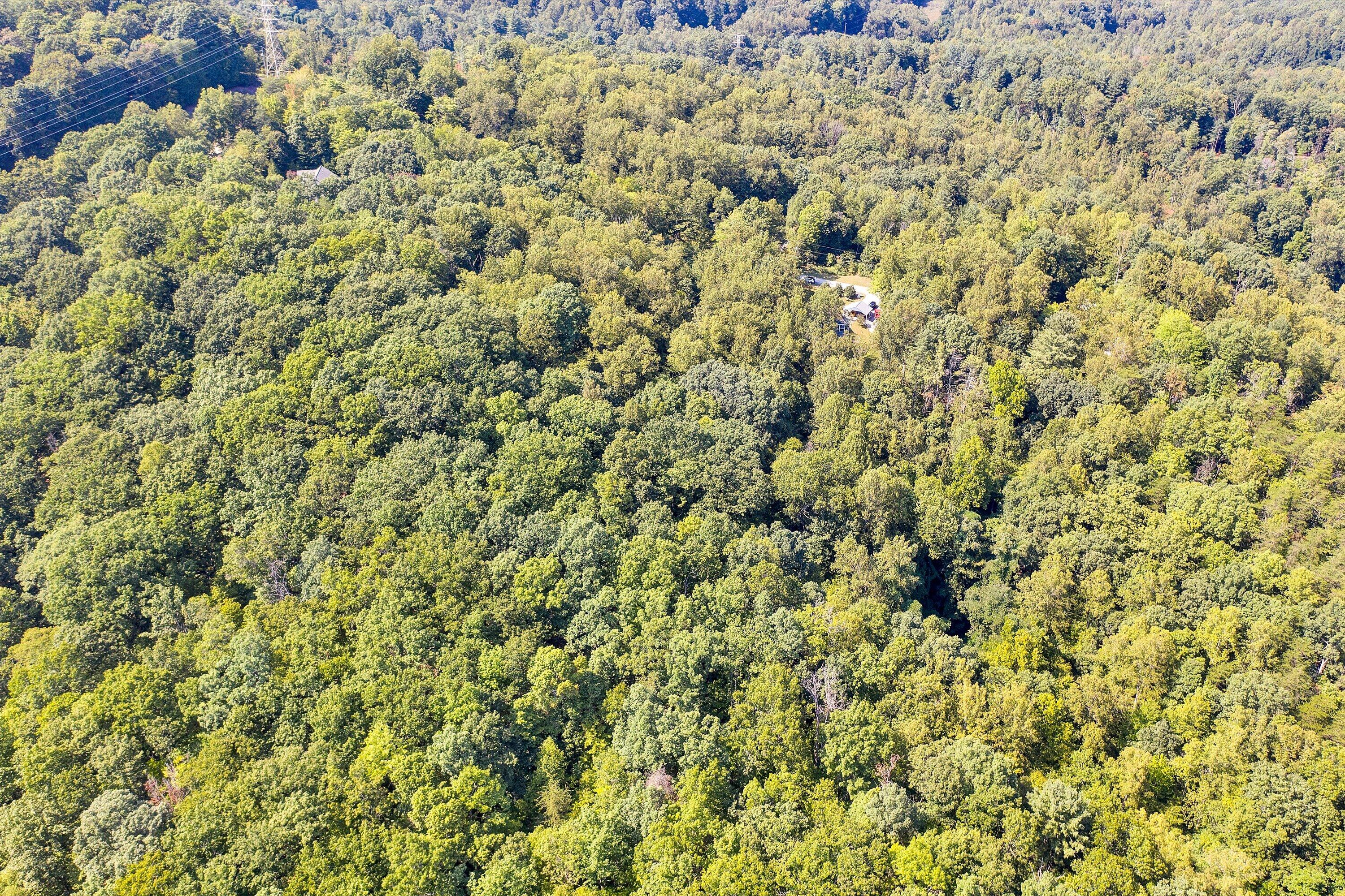 263 Whispering Pines Dr, Boones Mill, Virginia image 43