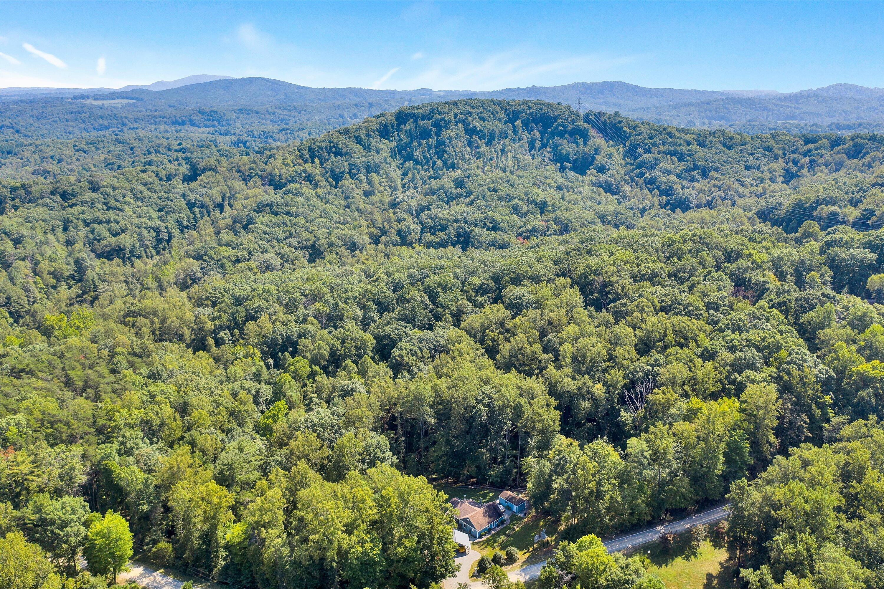 263 Whispering Pines Dr, Boones Mill, Virginia image 42