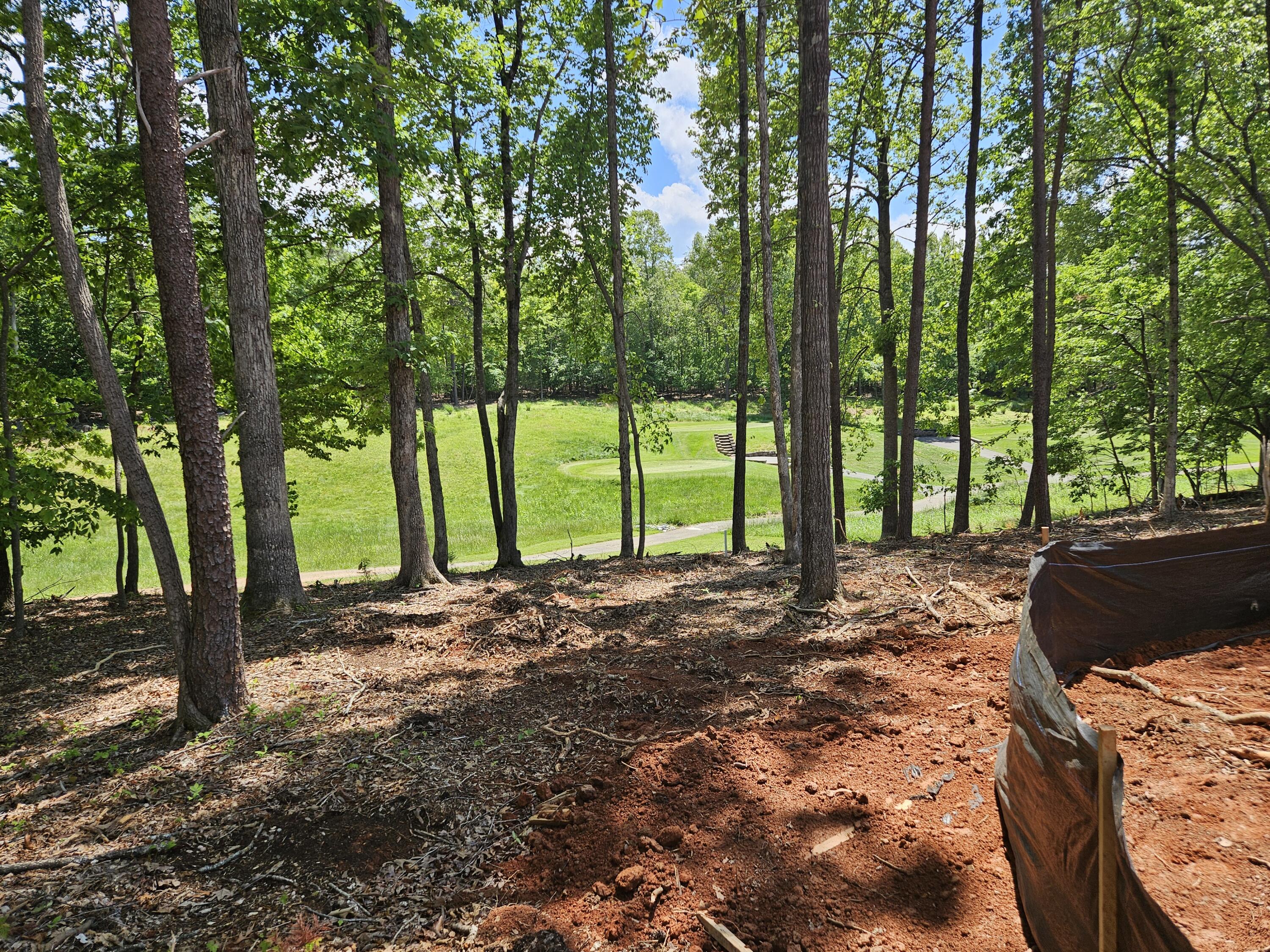 120 Pointe O Woods Dr, Huddleston, Virginia image 38