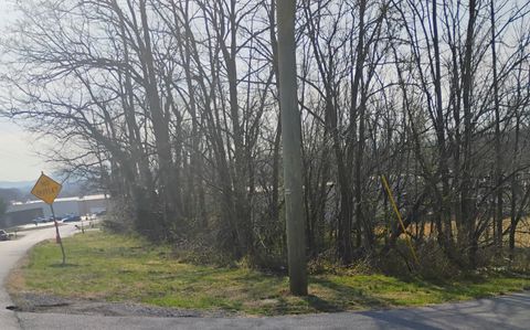Vacant Land For Sale - Dogwood Ln<br/> Troutville, VA 24175