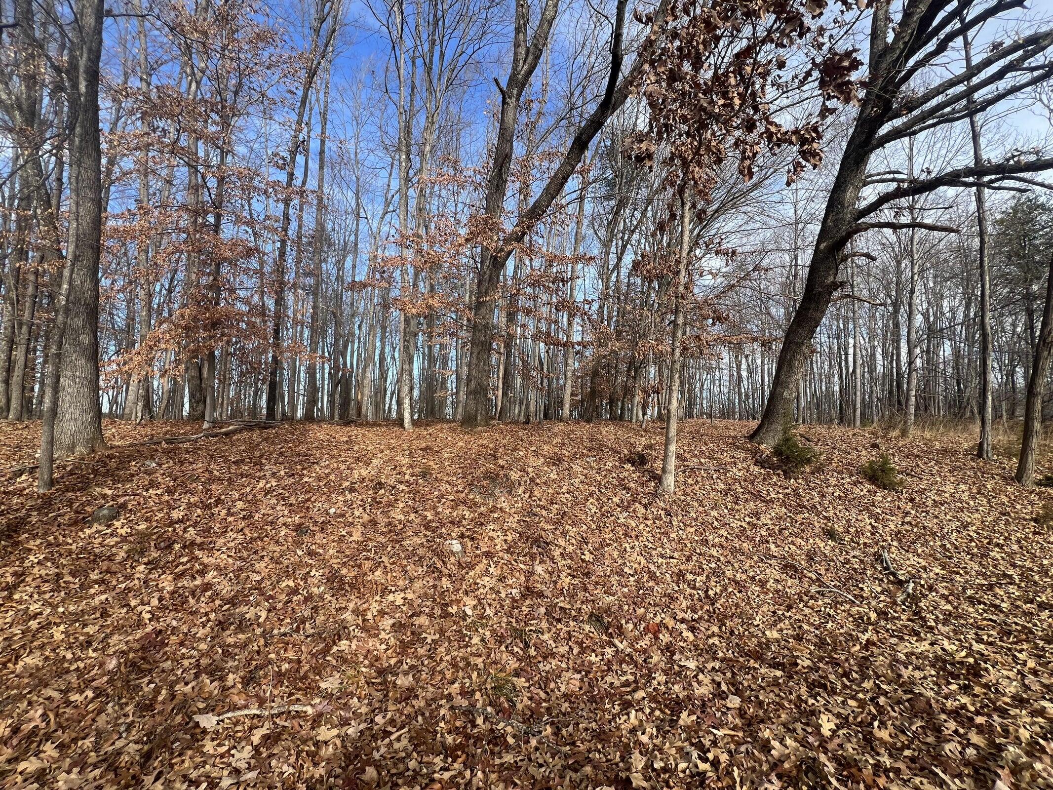 Lot 10 Binnacle Dr, Moneta, Virginia image 10