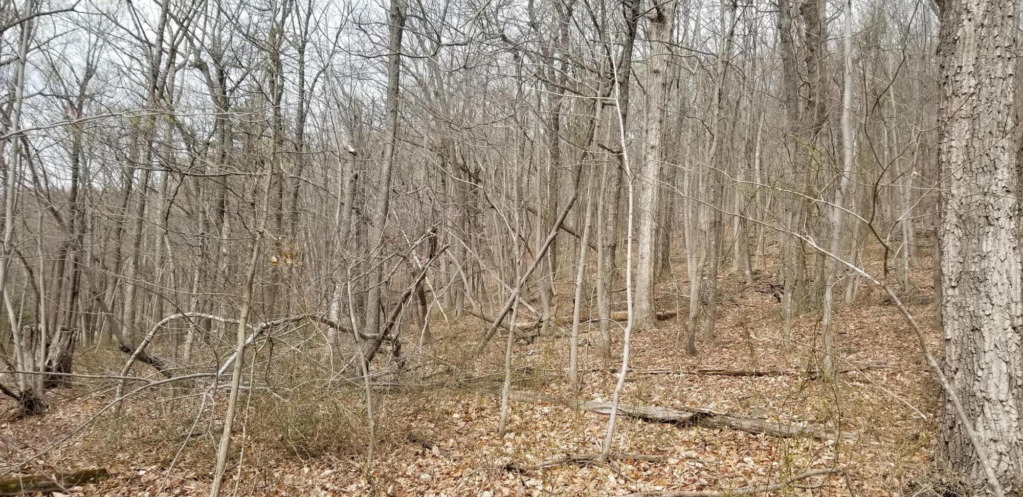 LOT 5 Summit Dr, Rocky Mount, Virginia image 6
