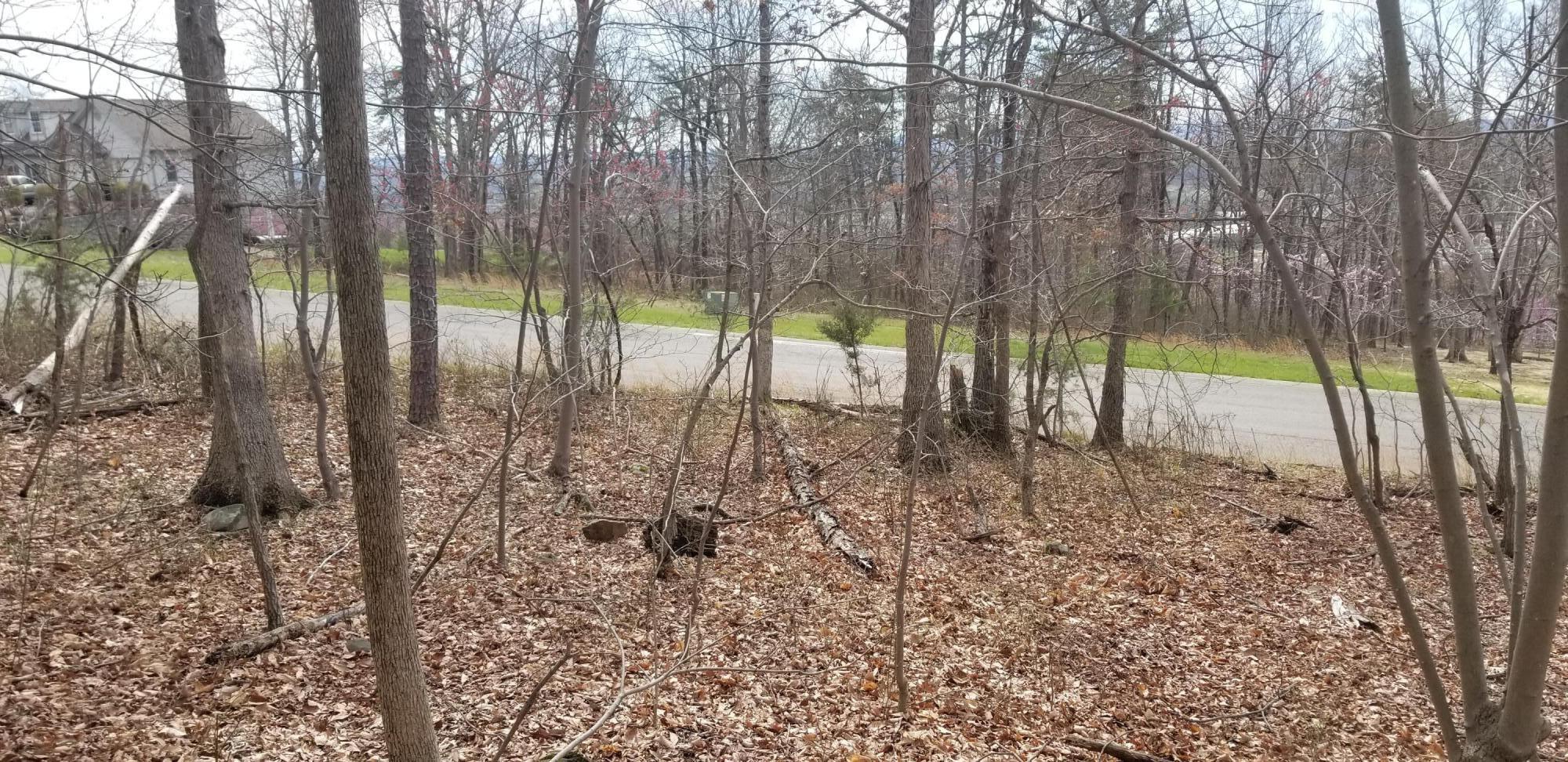 LOT 5 Summit Dr, Rocky Mount, Virginia image 9