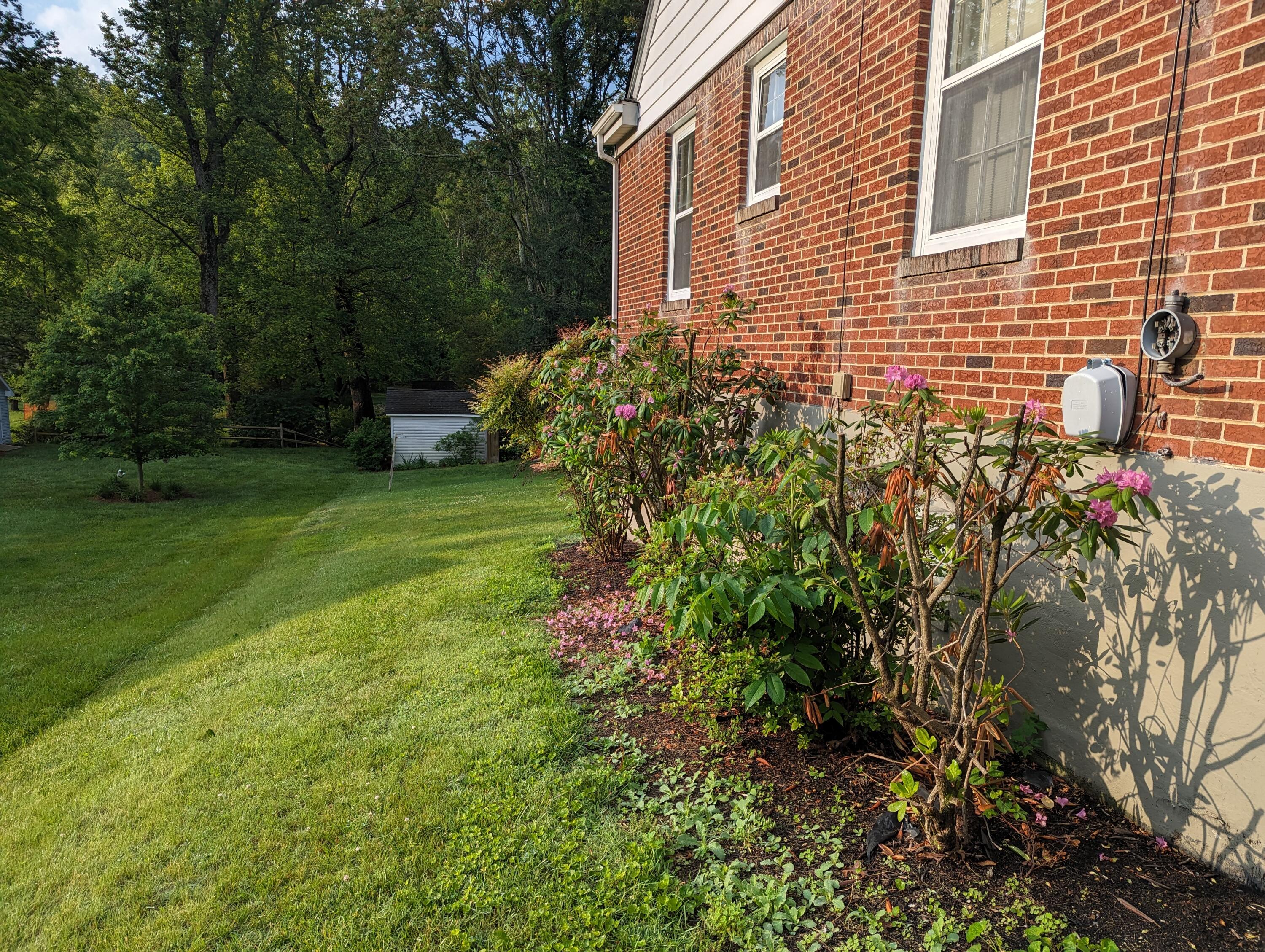 1987 Franklin St, Rocky Mount, Virginia image 38