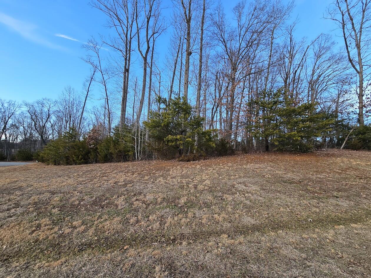 Lot 38 Harbour Crossing Dr, Moneta, Ohio image 11