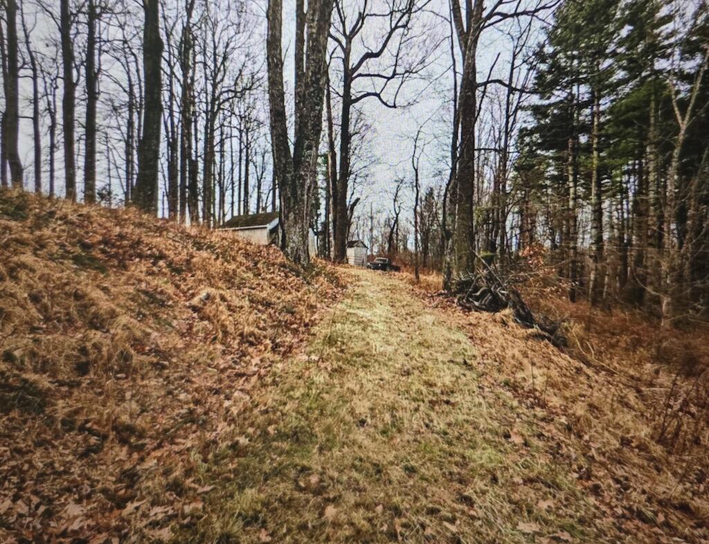 8225 Bear Ridge Rd, Copper Hill, Virginia image 3