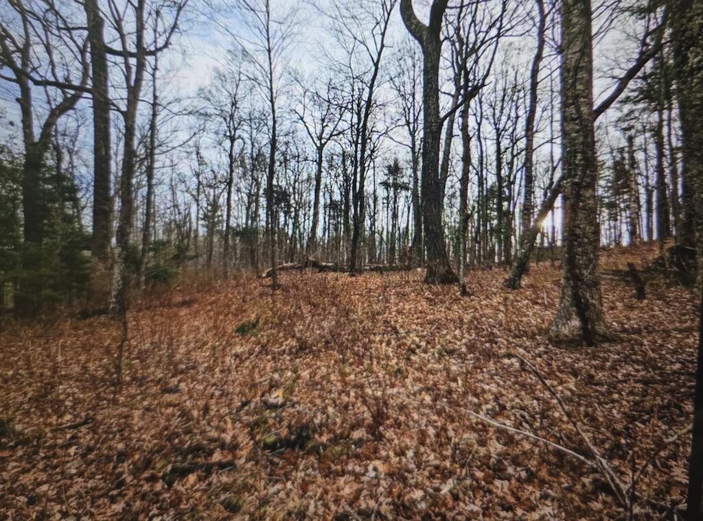 8225 Bear Ridge Rd, Copper Hill, Virginia image 2