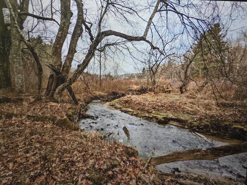 8225 Bear Ridge Rd, Copper Hill, Virginia image 8
