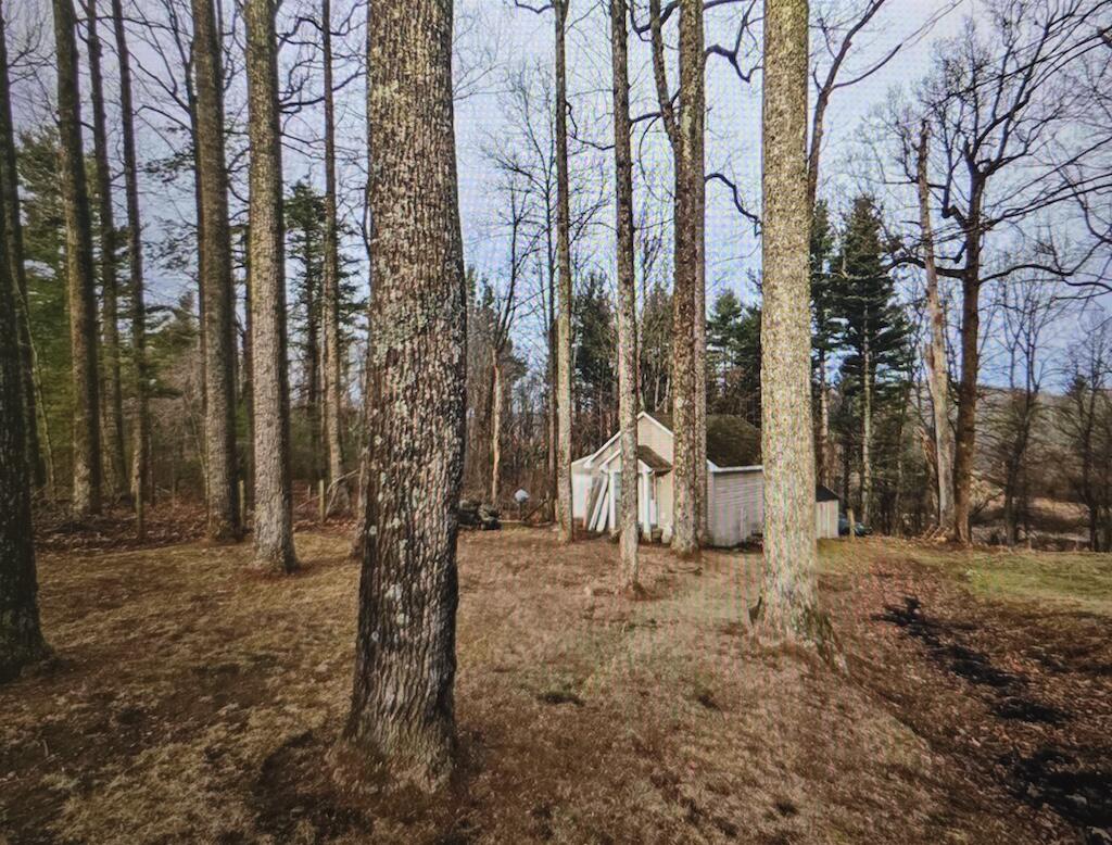 8225 Bear Ridge Rd, Copper Hill, Virginia image 6