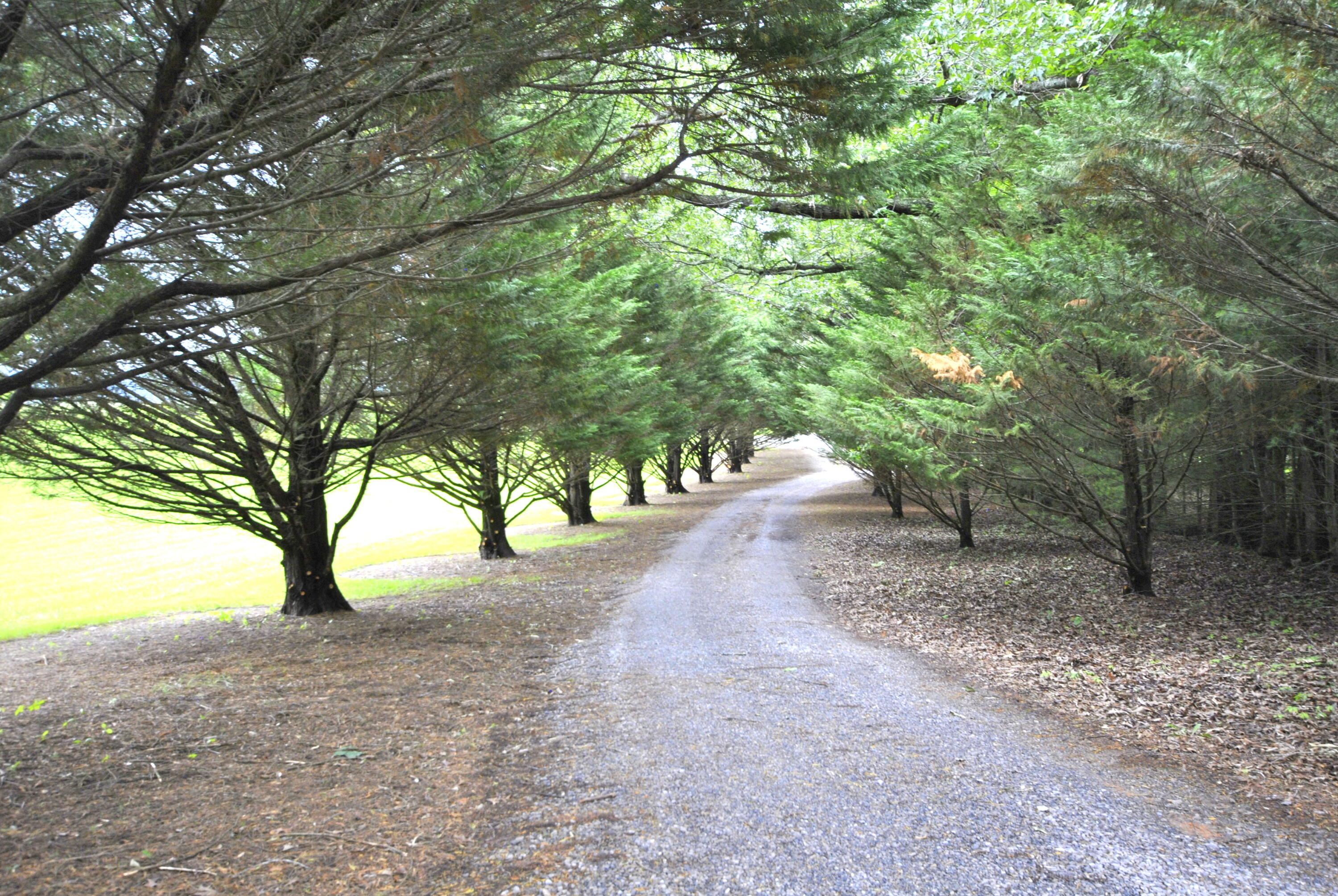 Bedford, Virginia 24523, United States, 4 Bedrooms Bedrooms, ,3 BathroomsBathrooms,Residential,Active,146264