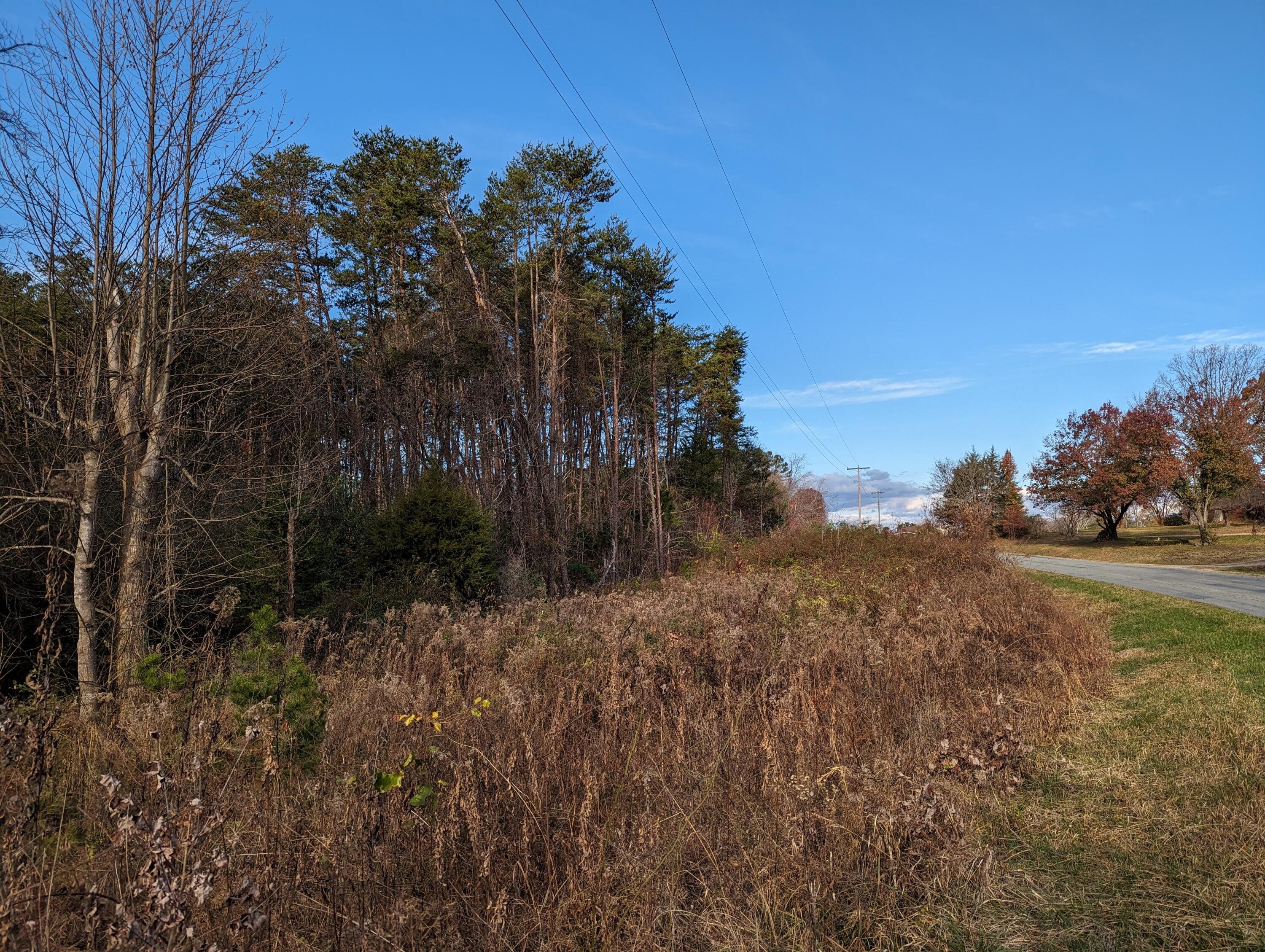 Walker Rd, Penhook, Virginia image 1