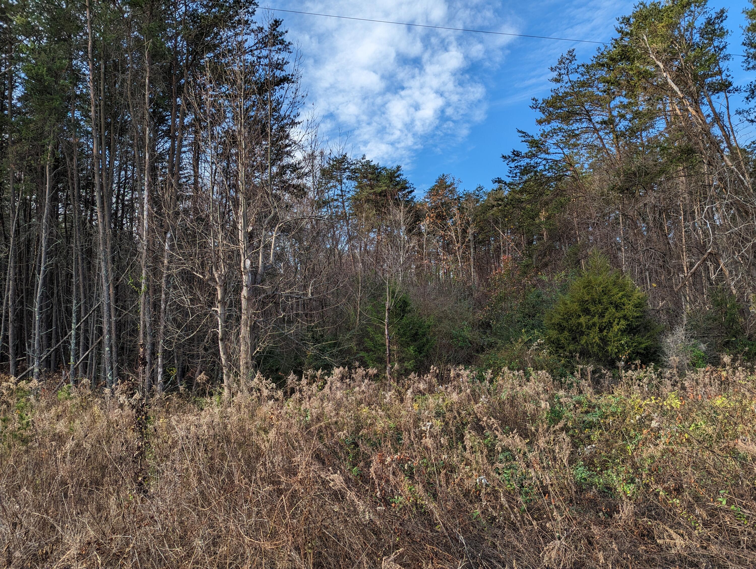 Walker Rd, Penhook, Virginia image 4