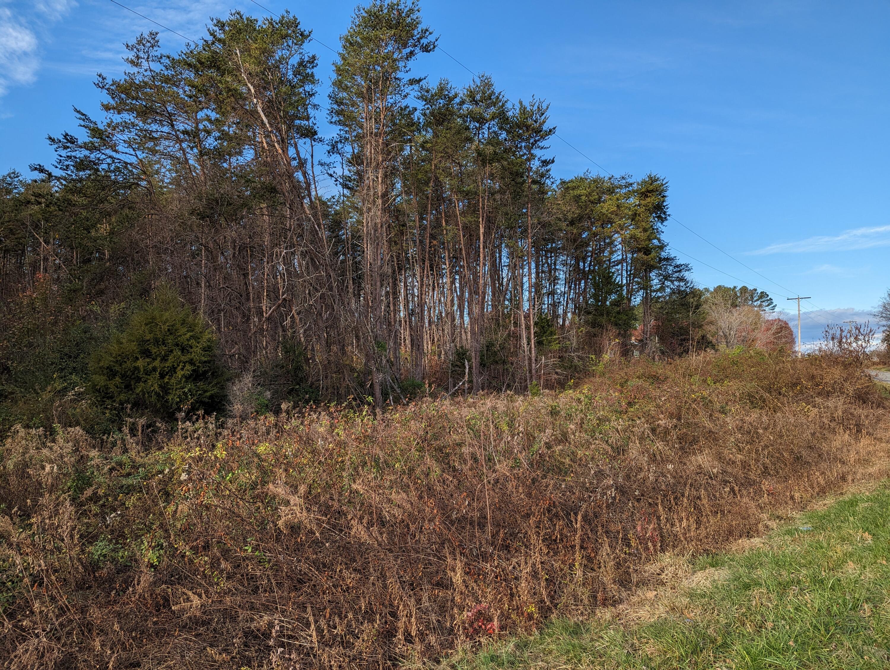 Walker Rd, Penhook, Virginia image 5