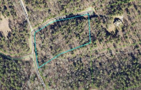 Vacant Land For Sale - 000 Mint Ln<br/> Callaway, VA 24067