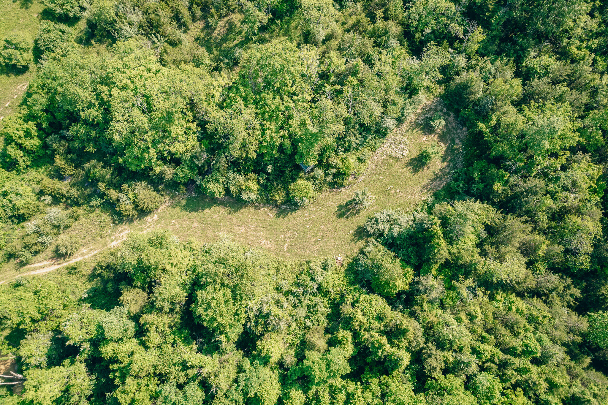 5145 Deertrot Rd, Dublin, Virginia image 26