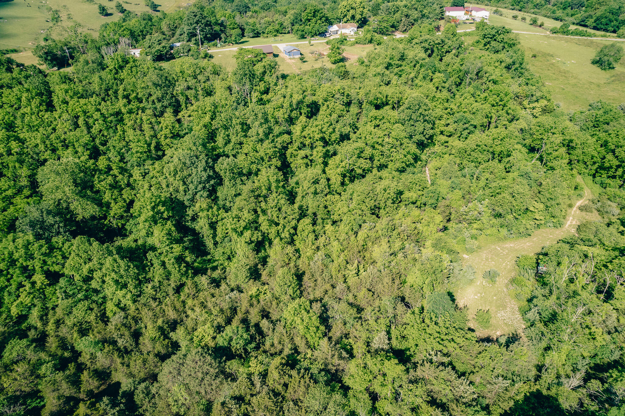 5145 Deertrot Rd, Dublin, Virginia image 25