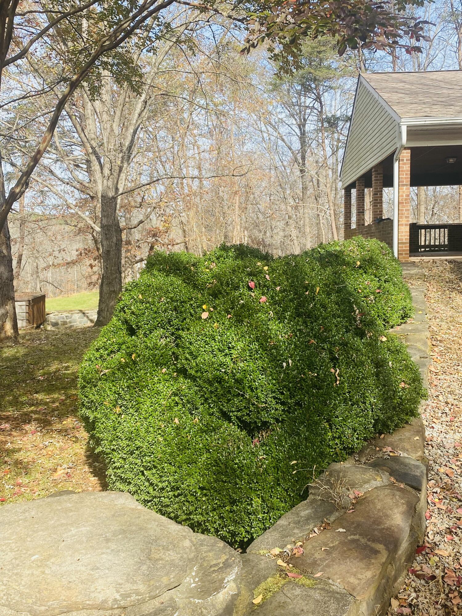 5540 Rock Cliff Rd, Bedford, Virginia image 16