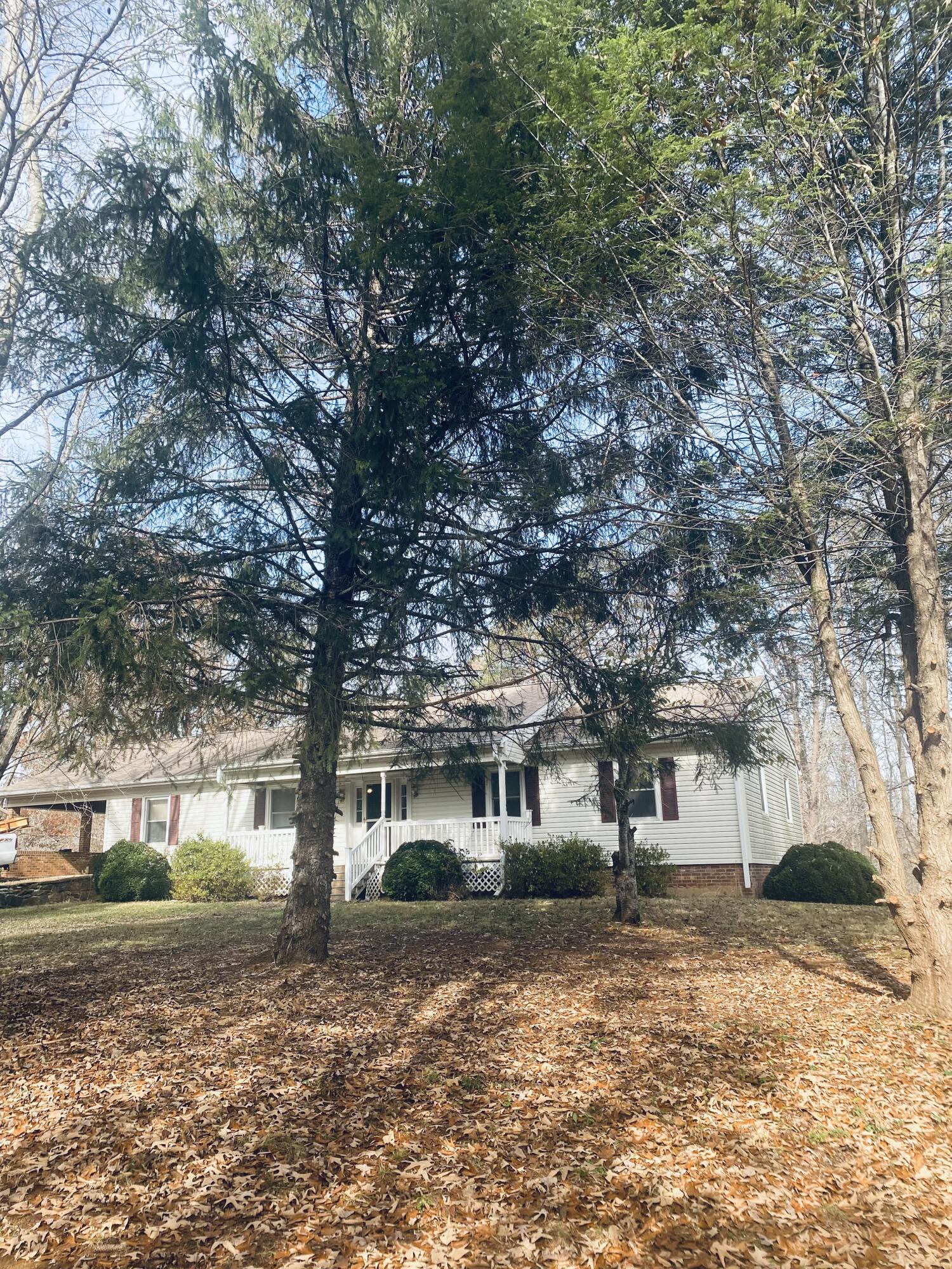 5540 Rock Cliff Rd, Bedford, Virginia image 10