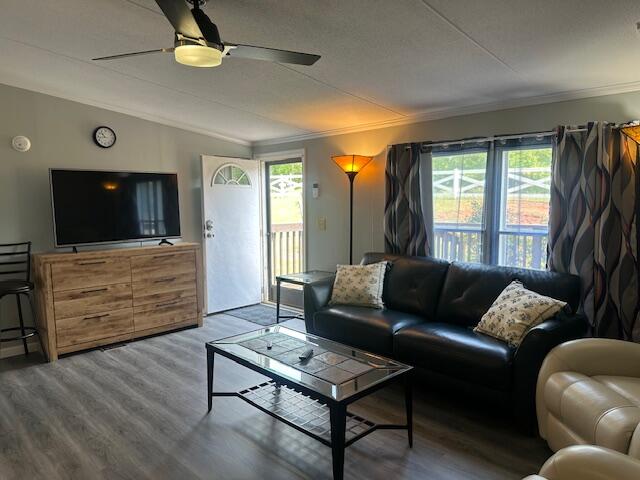 3559 County Line Rd, Patrick Springs, Virginia image 4