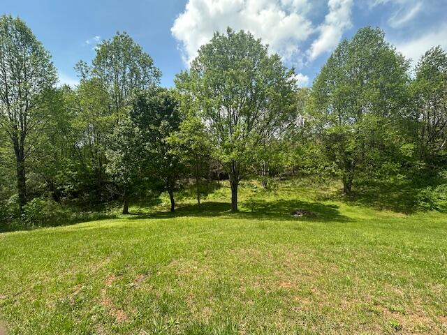 3559 County Line Rd, Patrick Springs, Virginia image 22