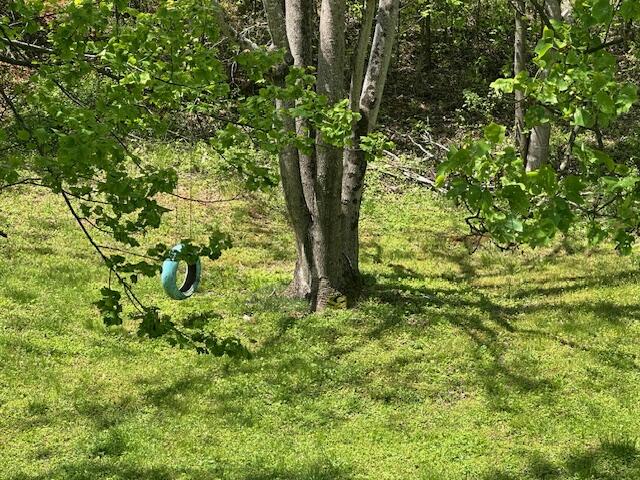 3559 County Line Rd, Patrick Springs, Virginia image 21