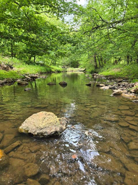 Vacant Land For Sale - Webster Rd<br/> Glade Hill, VA 24092