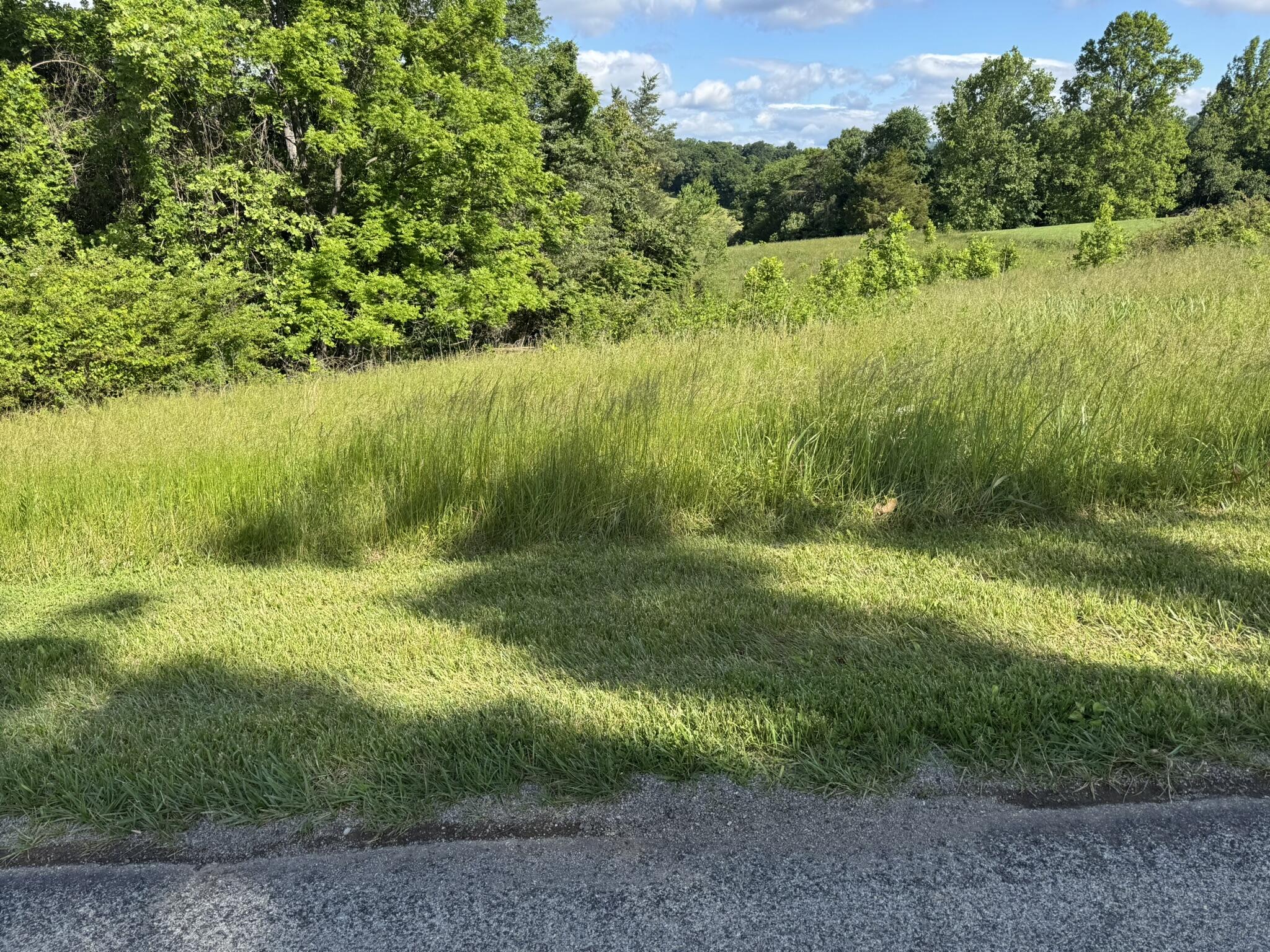 Green Level Rd, Rocky Mount, Virginia image 3