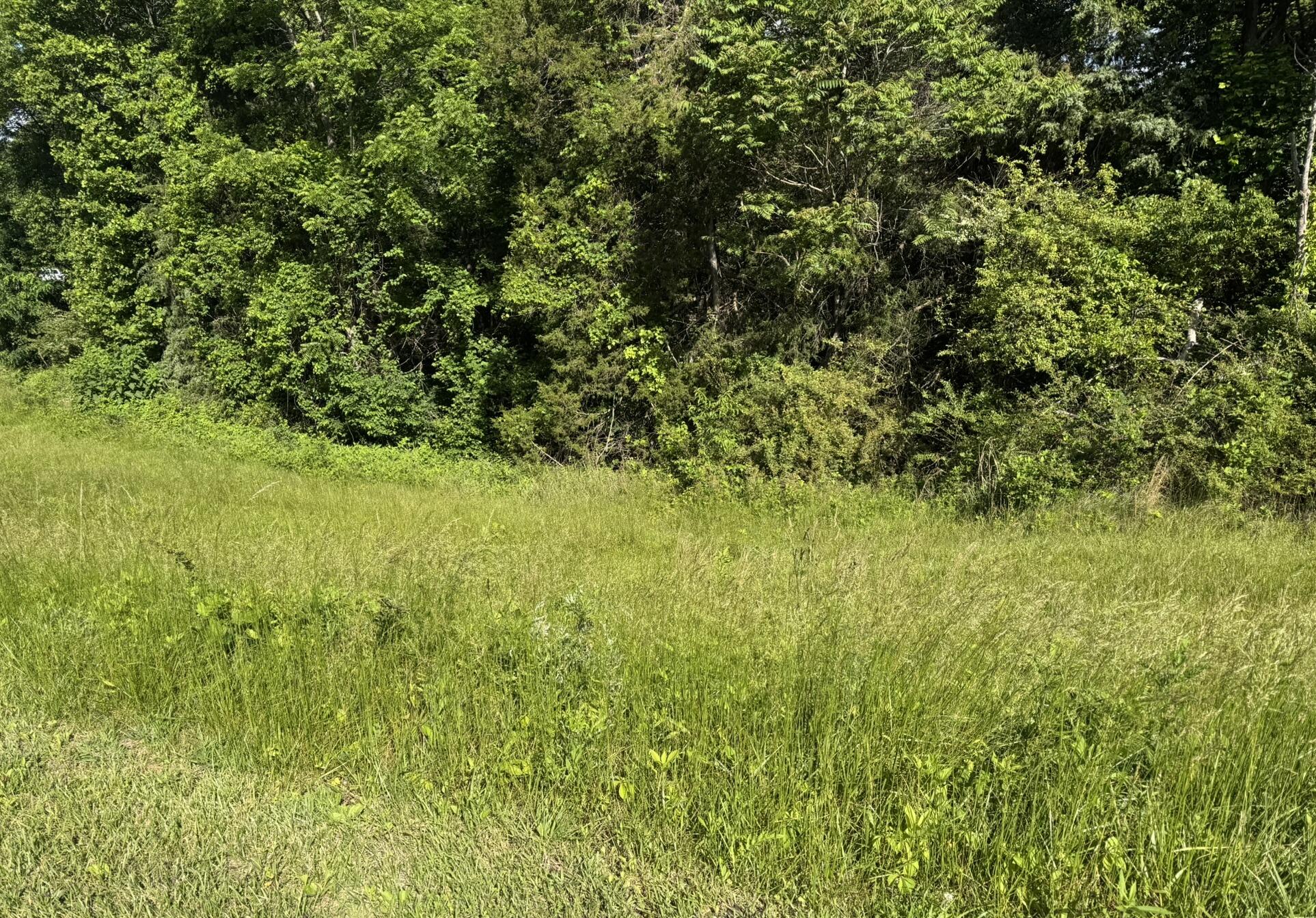 Green Level Rd, Rocky Mount, Virginia image 4