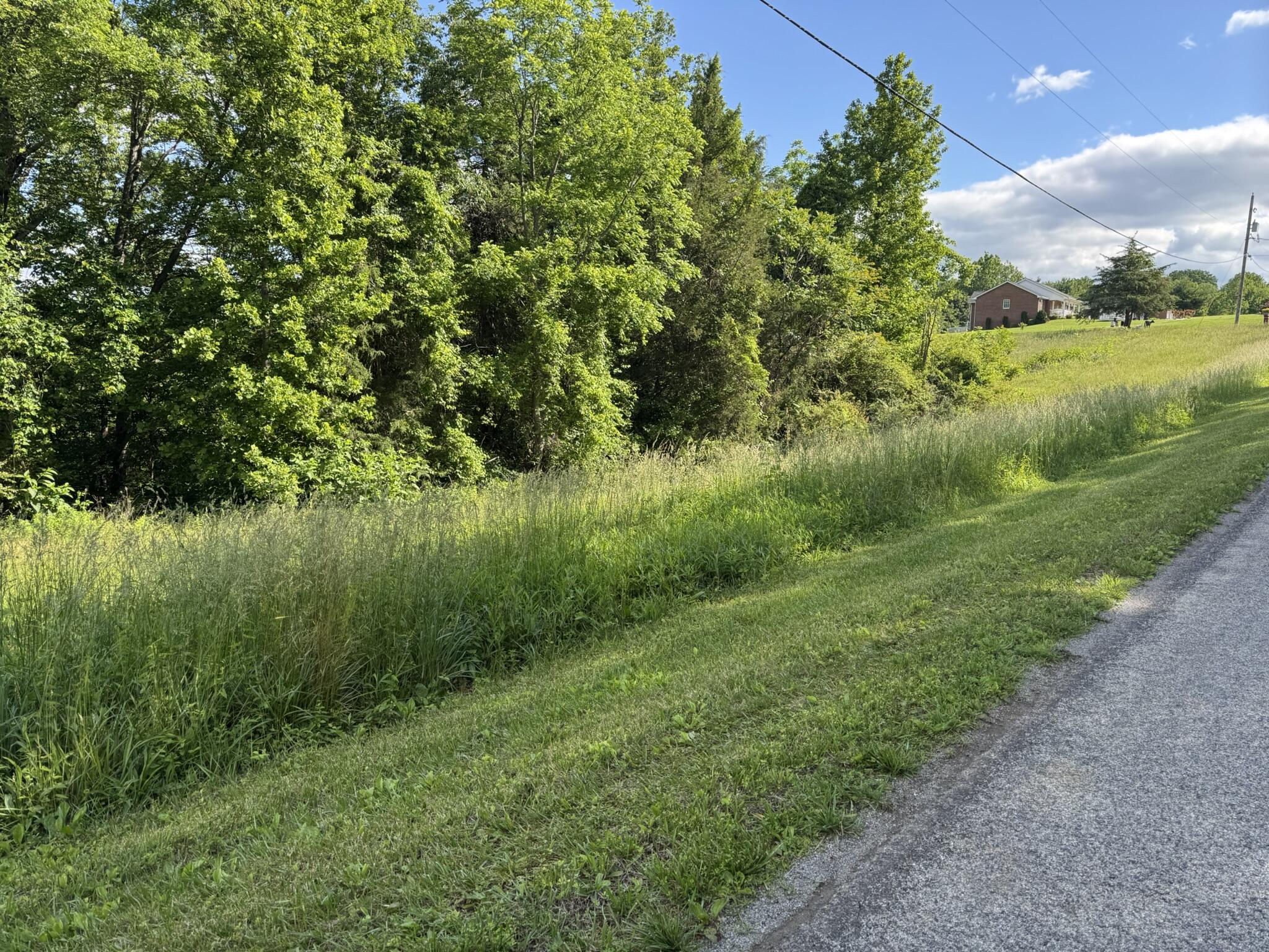 Green Level Rd, Rocky Mount, Virginia image 5