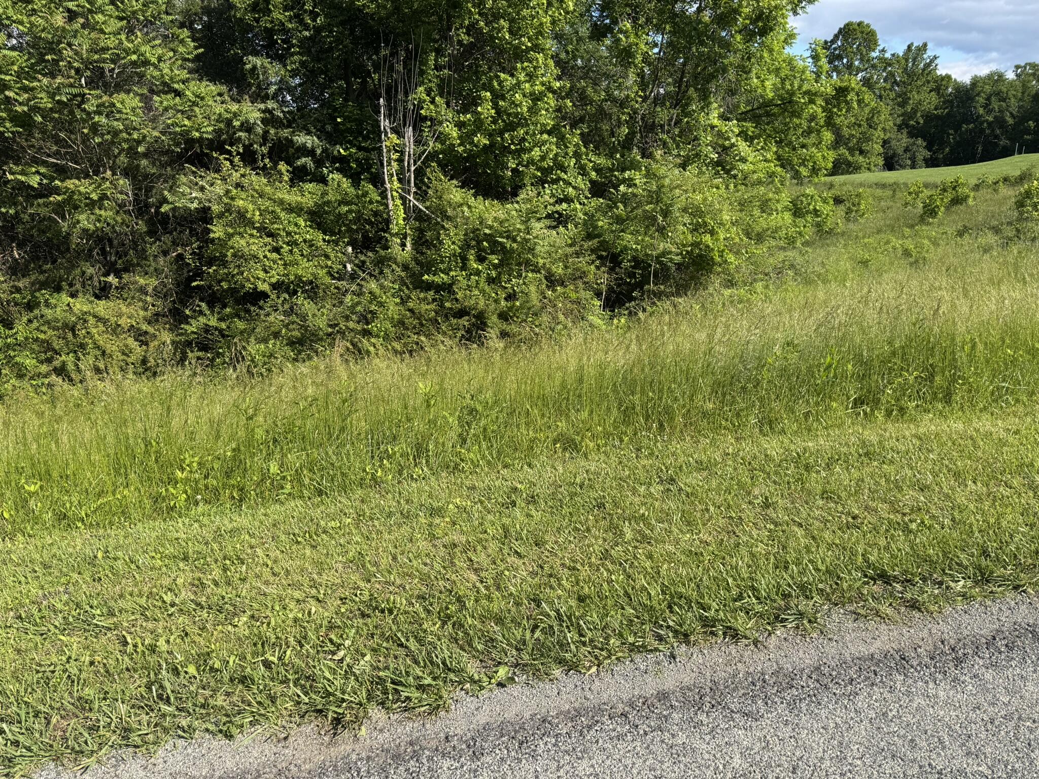 Green Level Rd, Rocky Mount, Virginia image 2