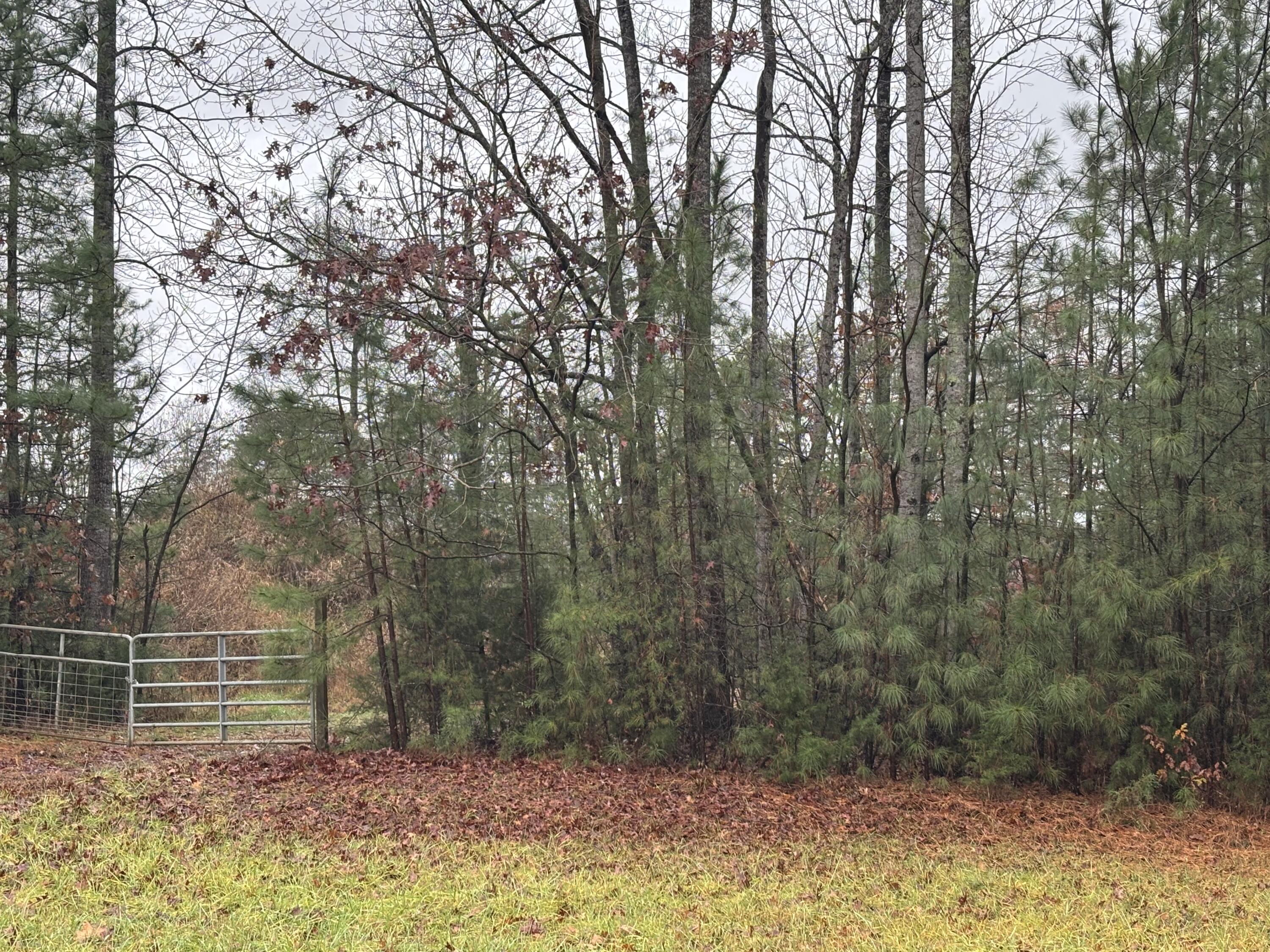 Lot 1 Westwind Rd, Moneta, Virginia image 10