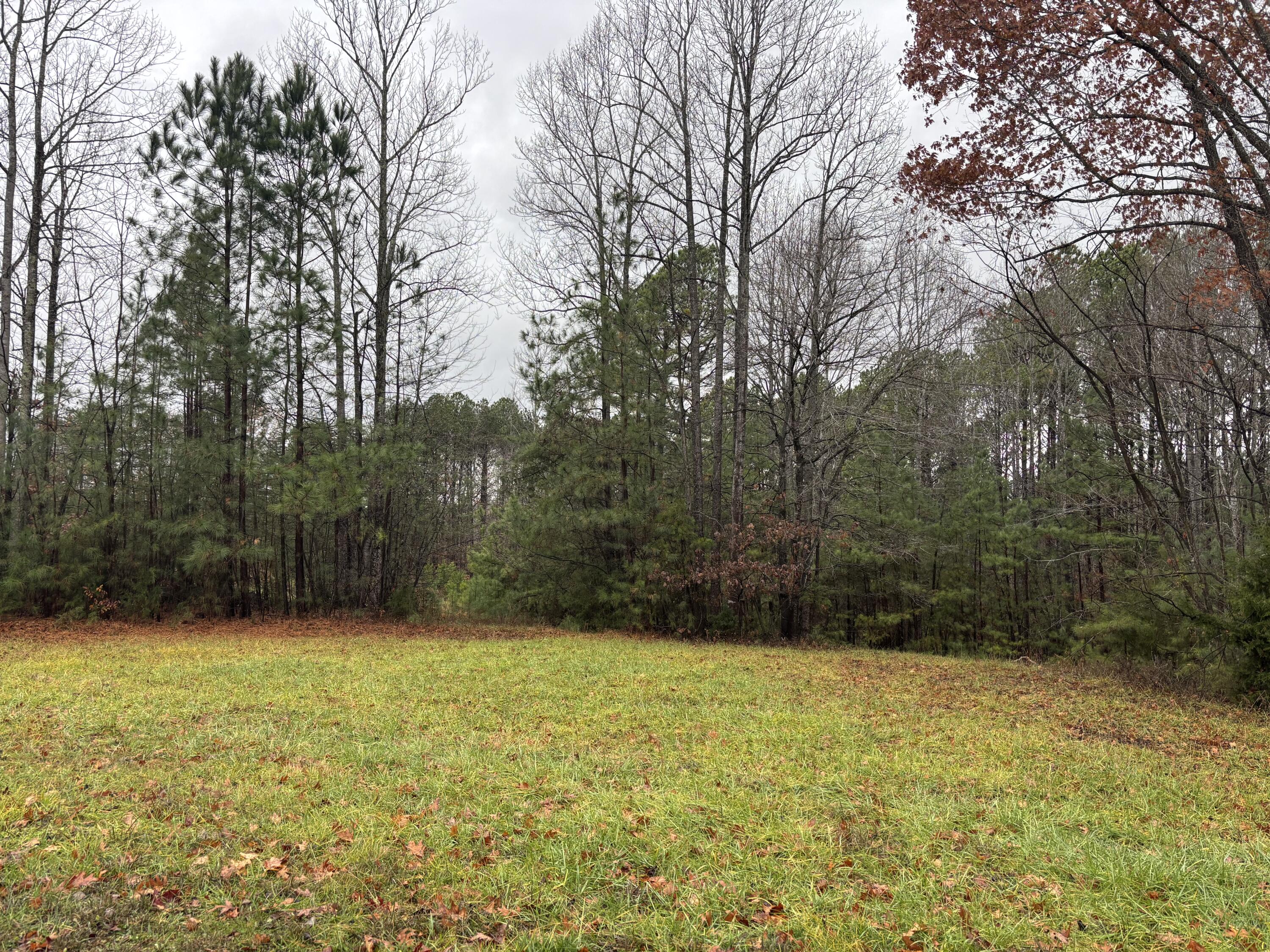 Lot 1 Westwind Rd, Moneta, Virginia image 9