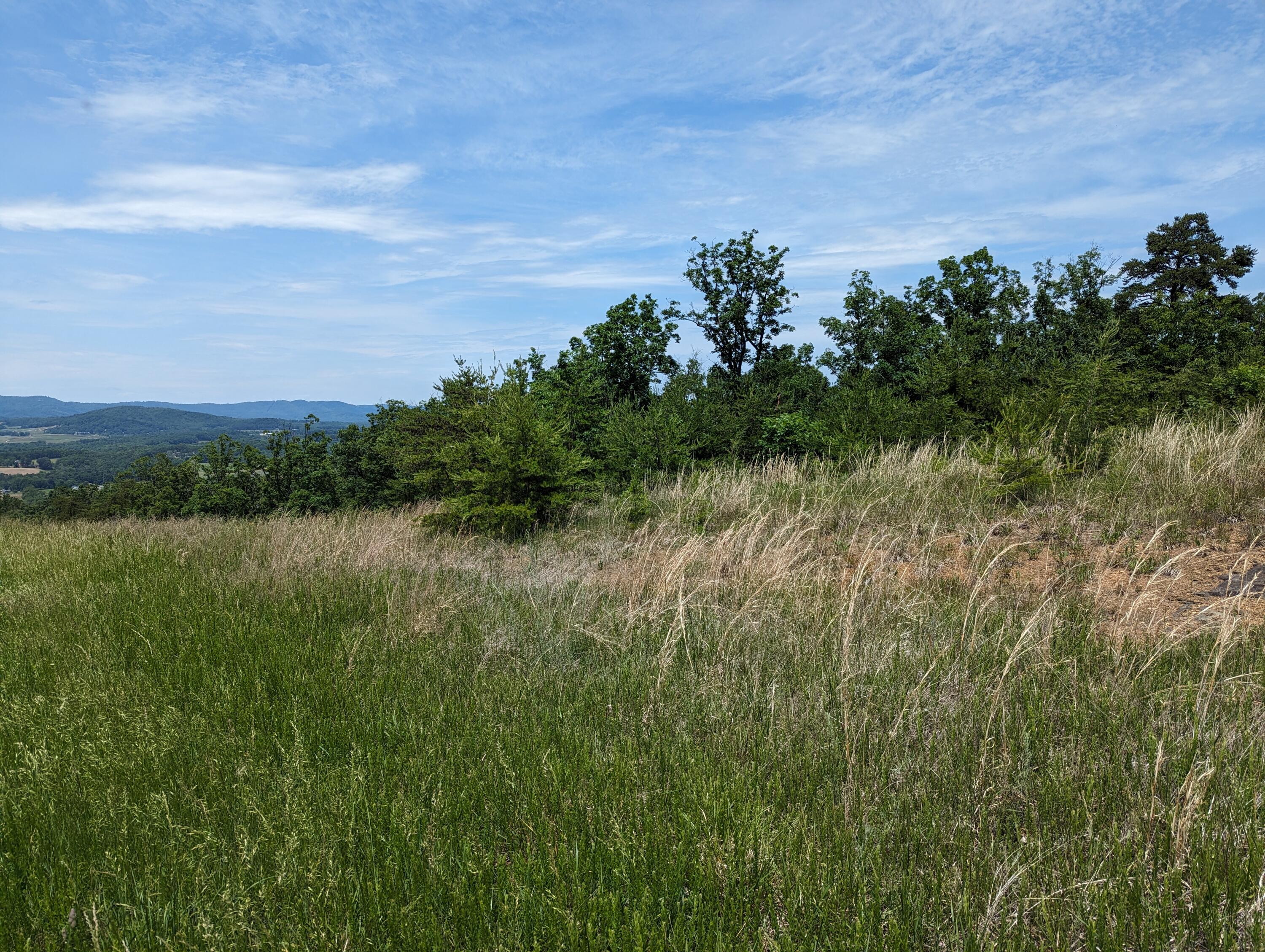 Lot 67 Penny Ln, Rocky Mount, Virginia image 11