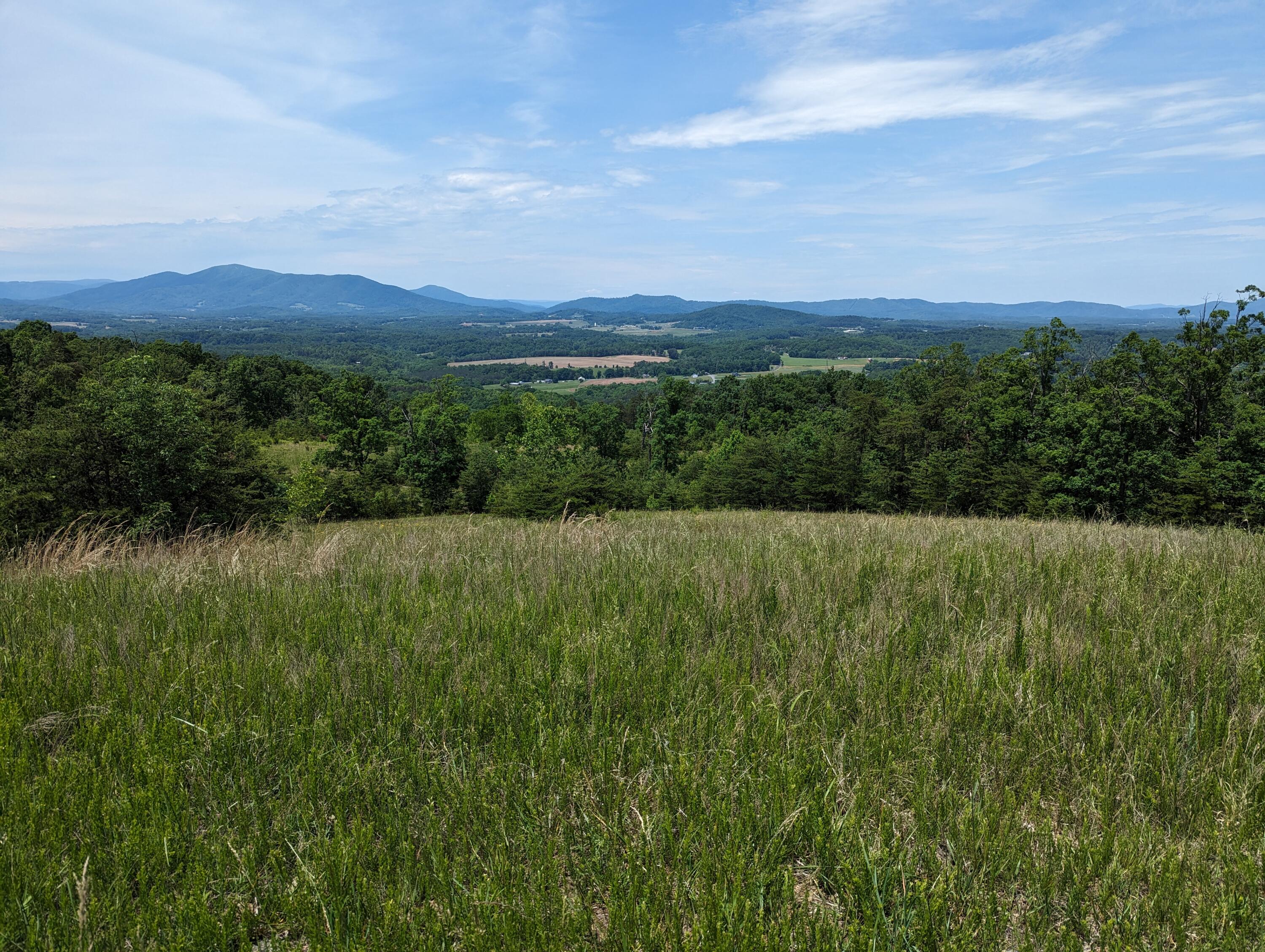 Lot 67 Penny Ln, Rocky Mount, Virginia image 17