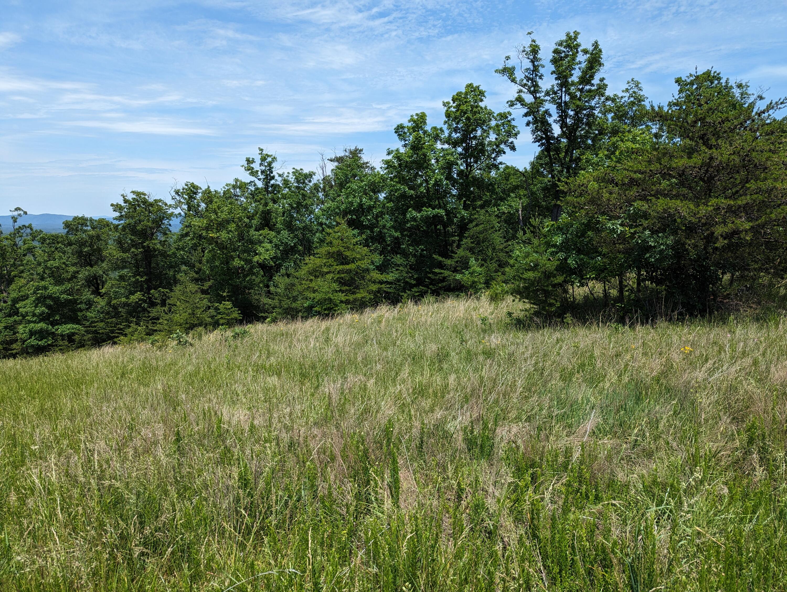 Lot 67 Penny Ln, Rocky Mount, Virginia image 13