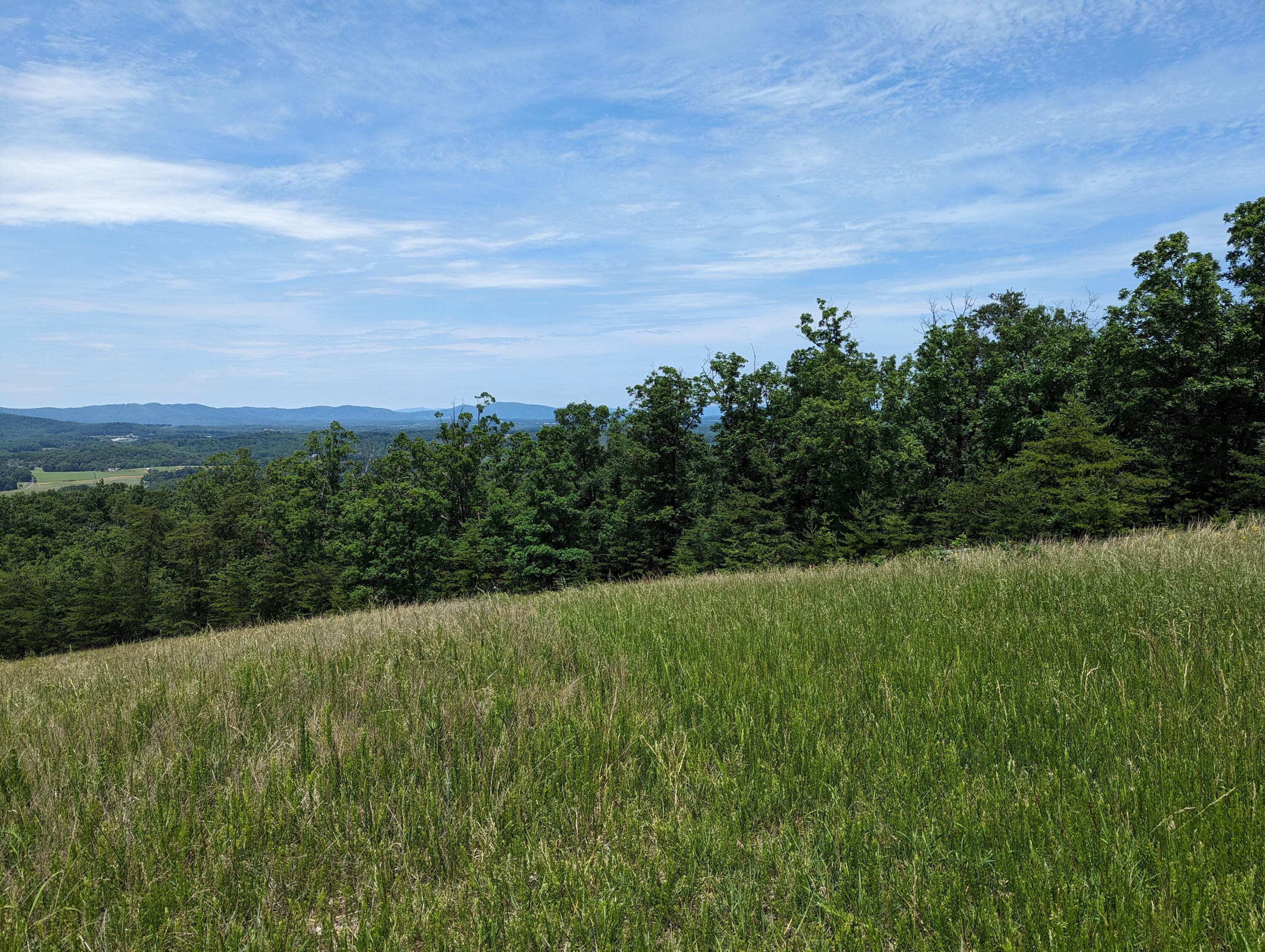 Lot 67 Penny Ln, Rocky Mount, Virginia image 18