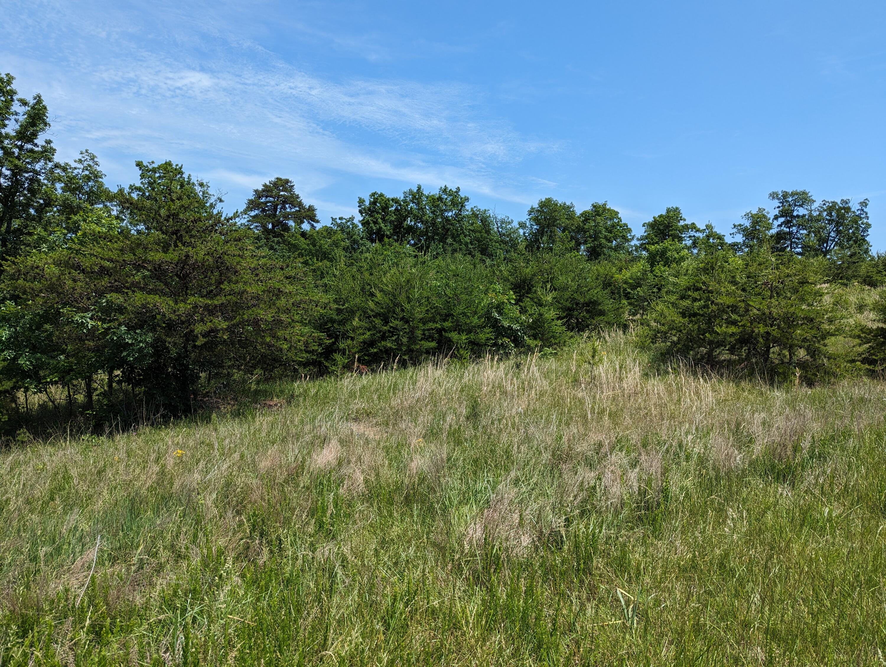 Lot 67 Penny Ln, Rocky Mount, Virginia image 16