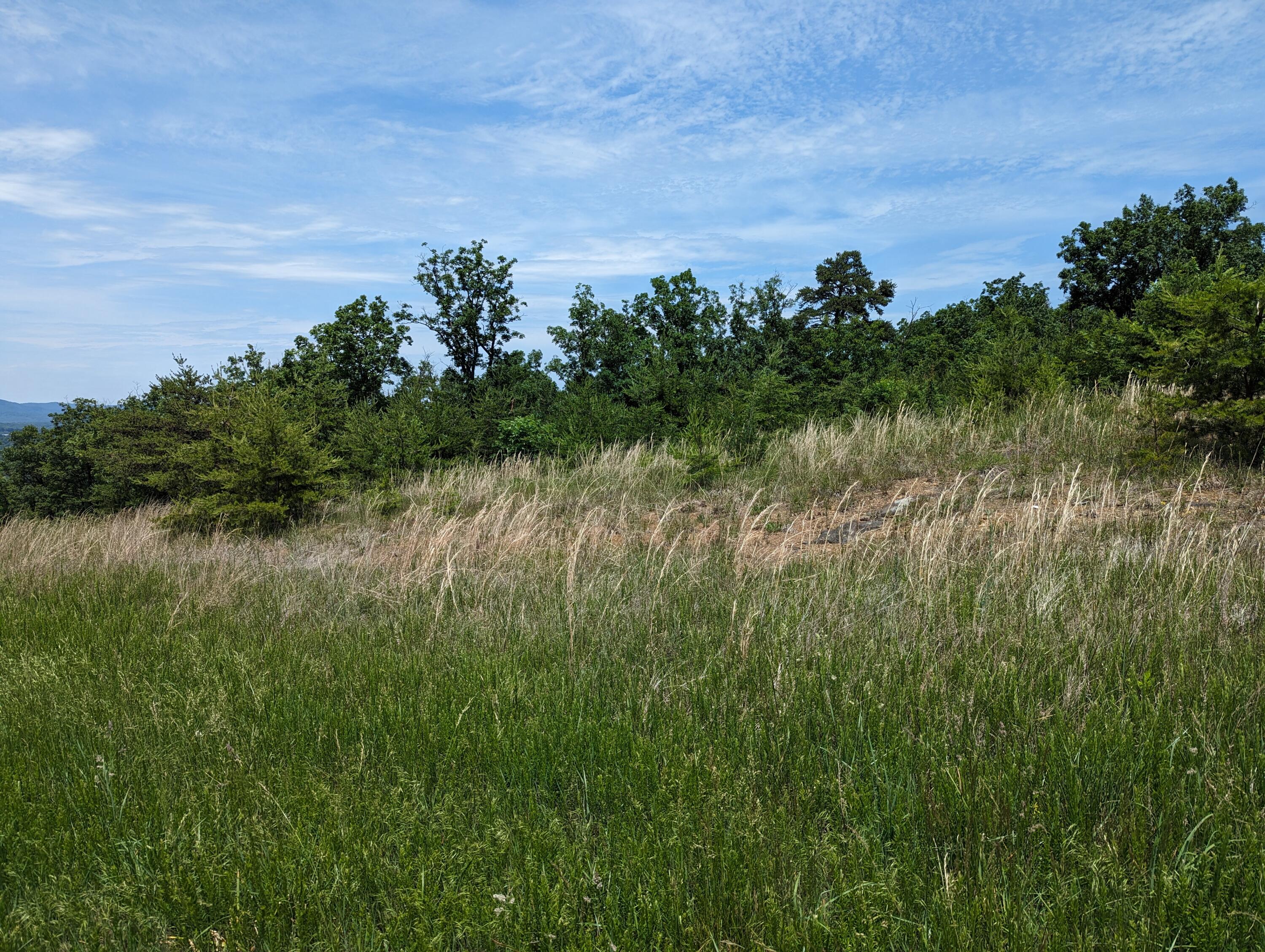 Lot 67 Penny Ln, Rocky Mount, Virginia image 10