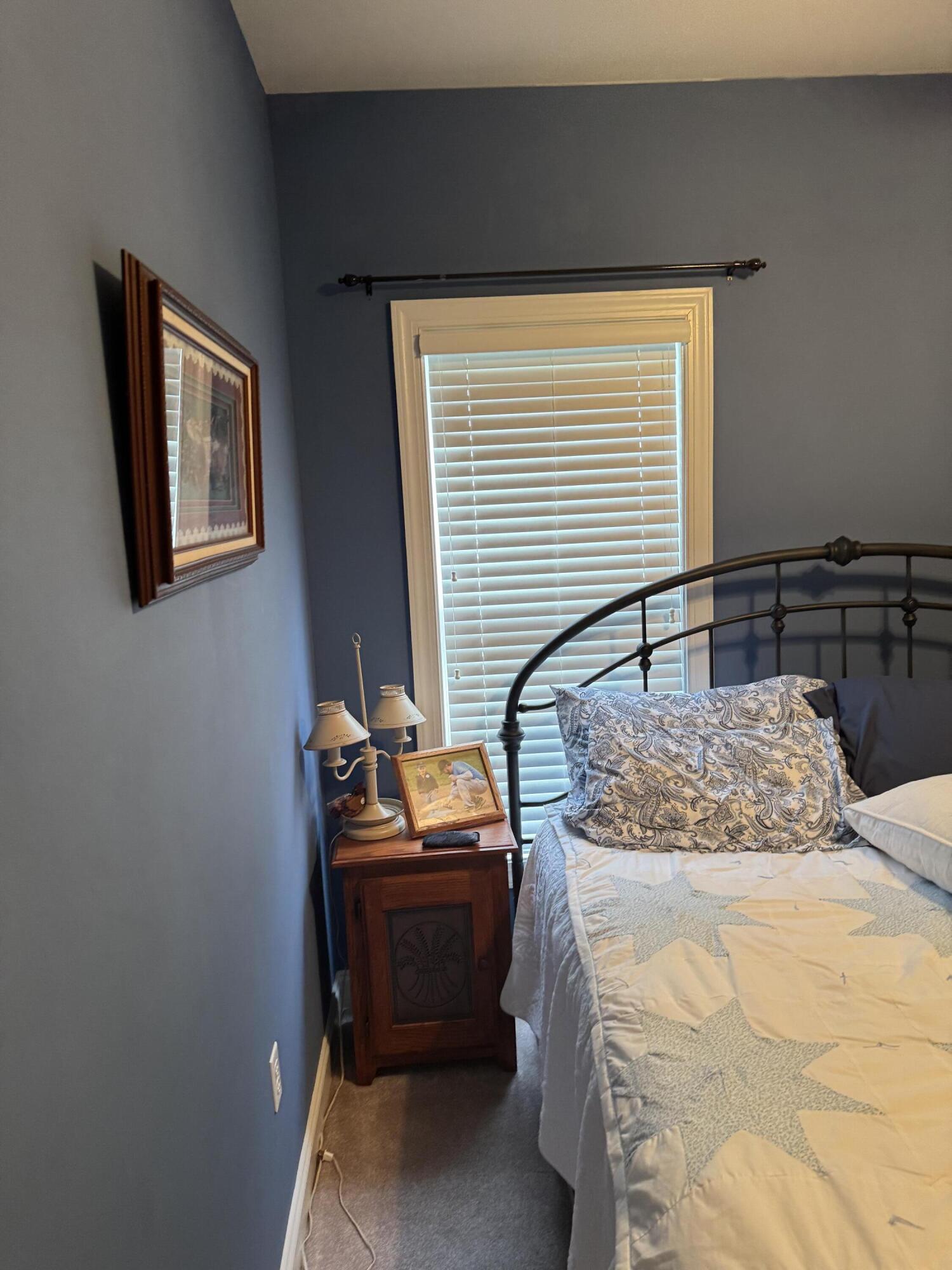 1060 Cranberry Ct, Moneta, Virginia image 12